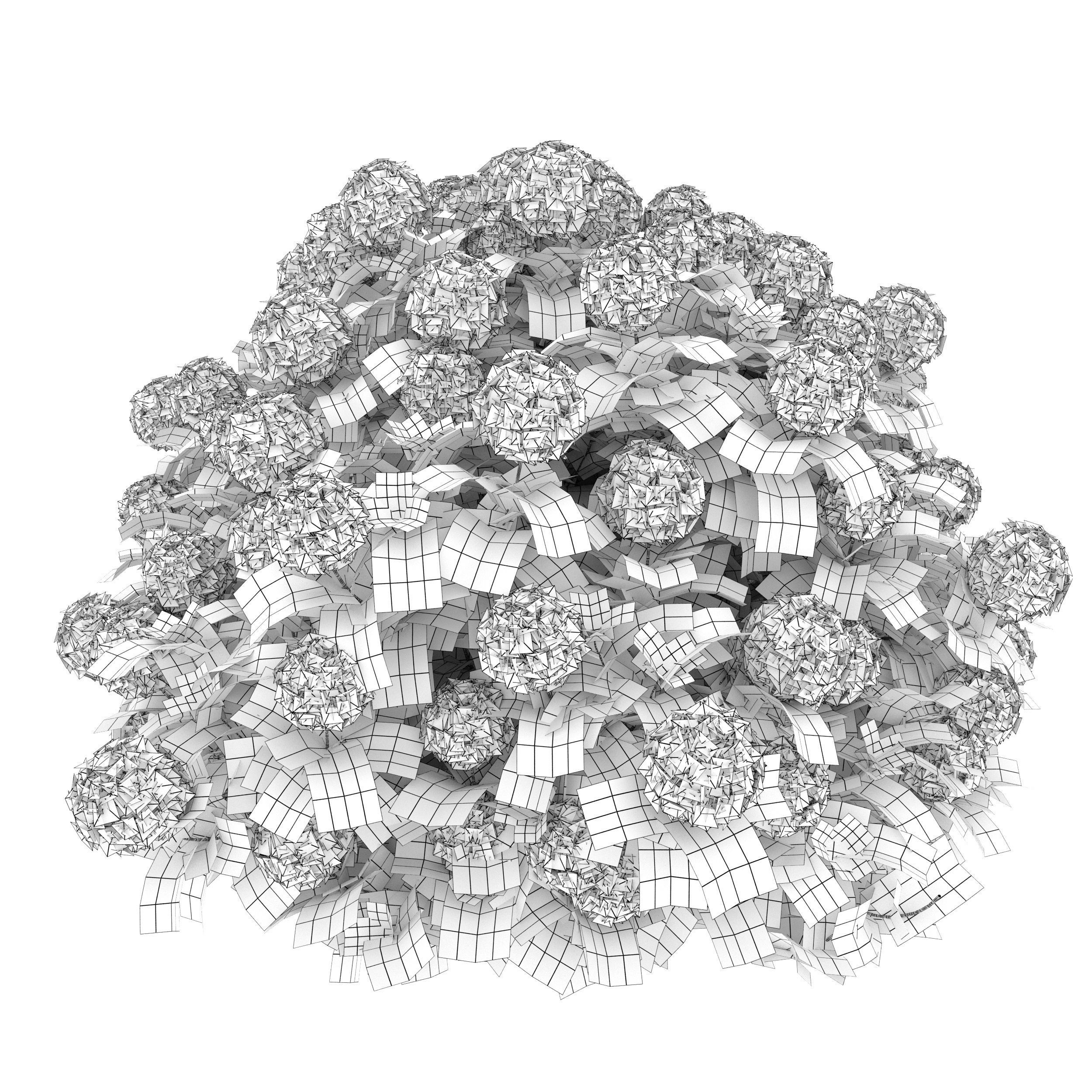 Hydrangea 02 3D model_8