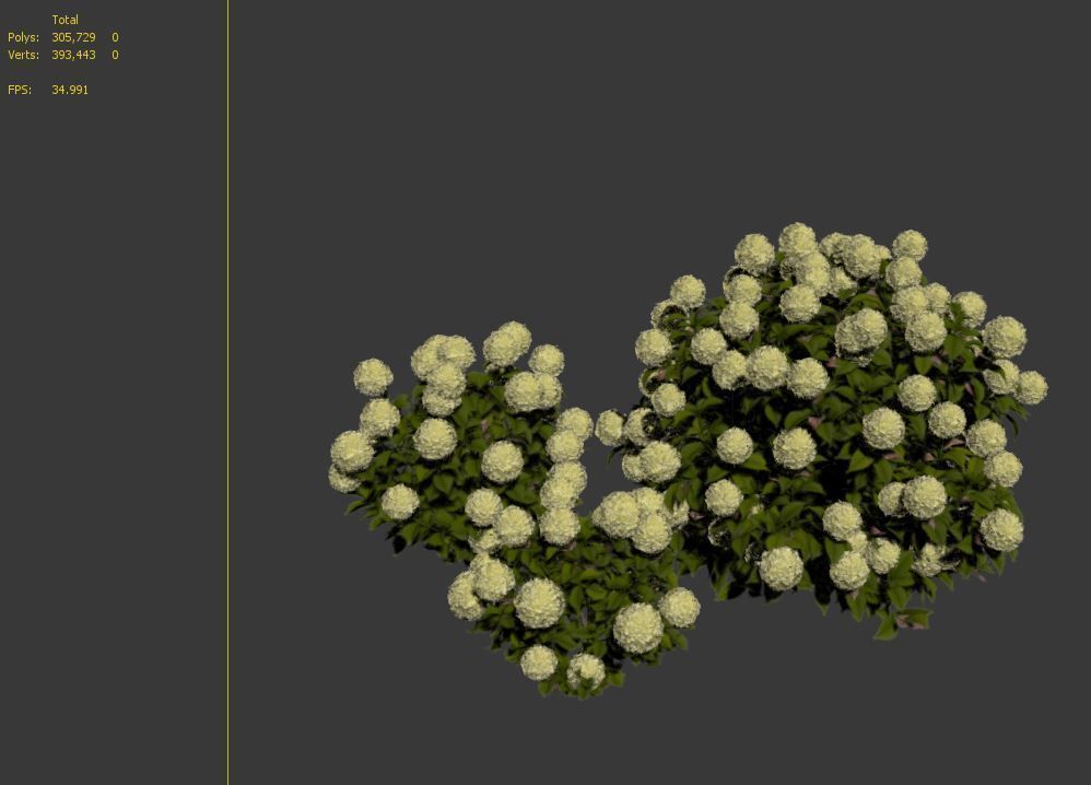 Hydrangea 02 3D model_7