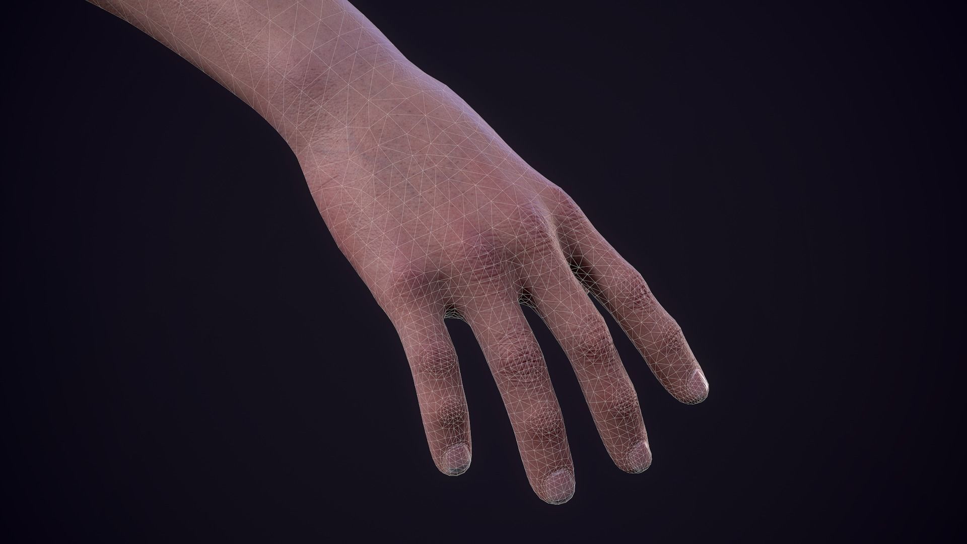 FPS First Person Arms - 04 Low-poly 3D model_19