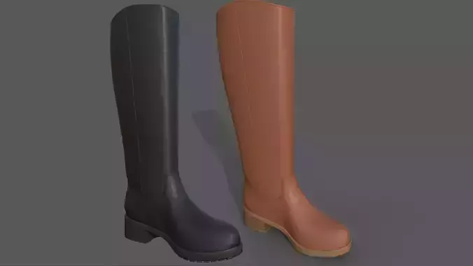 Boots 2 types
