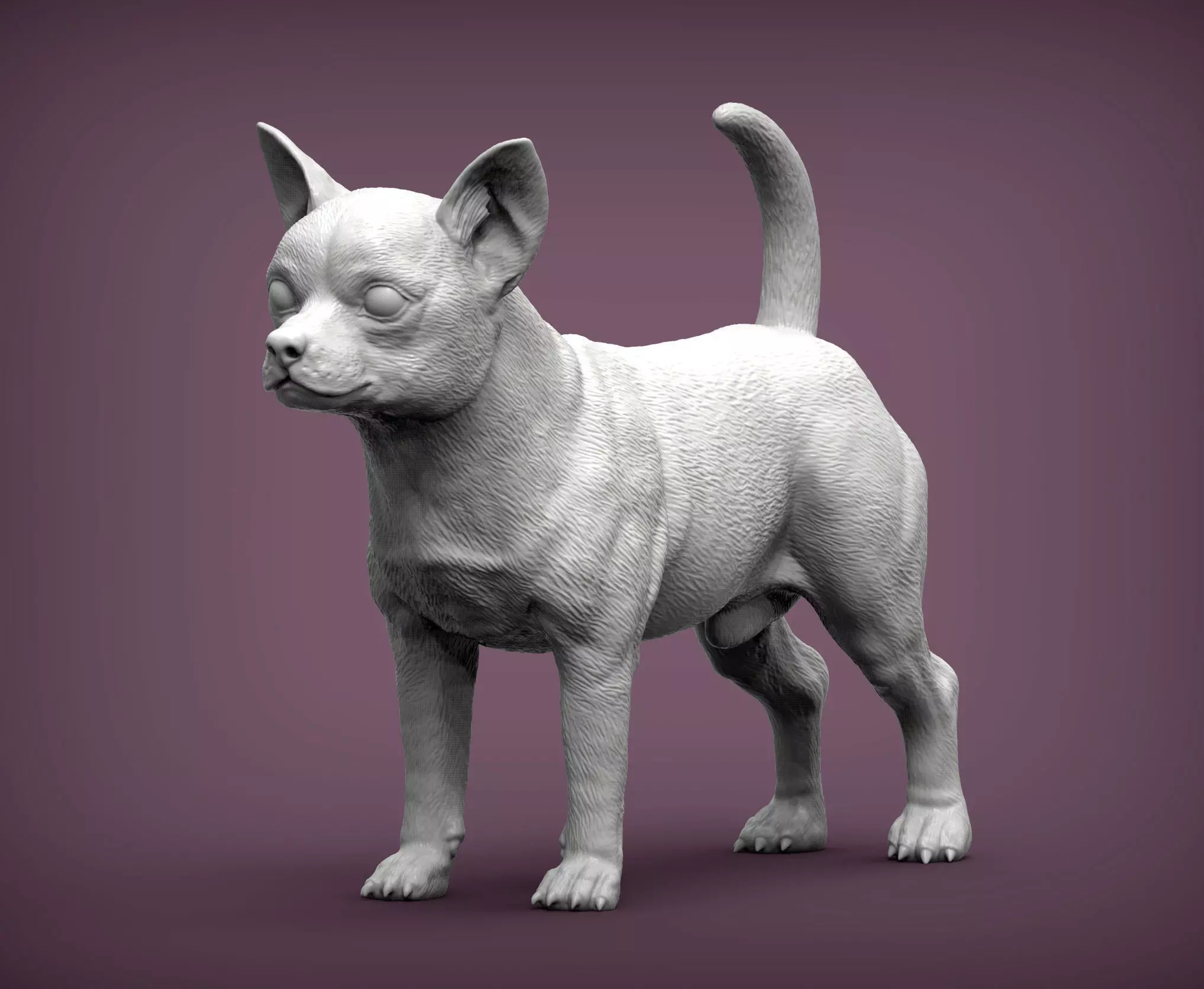 chihuahua dog 3D print model_0