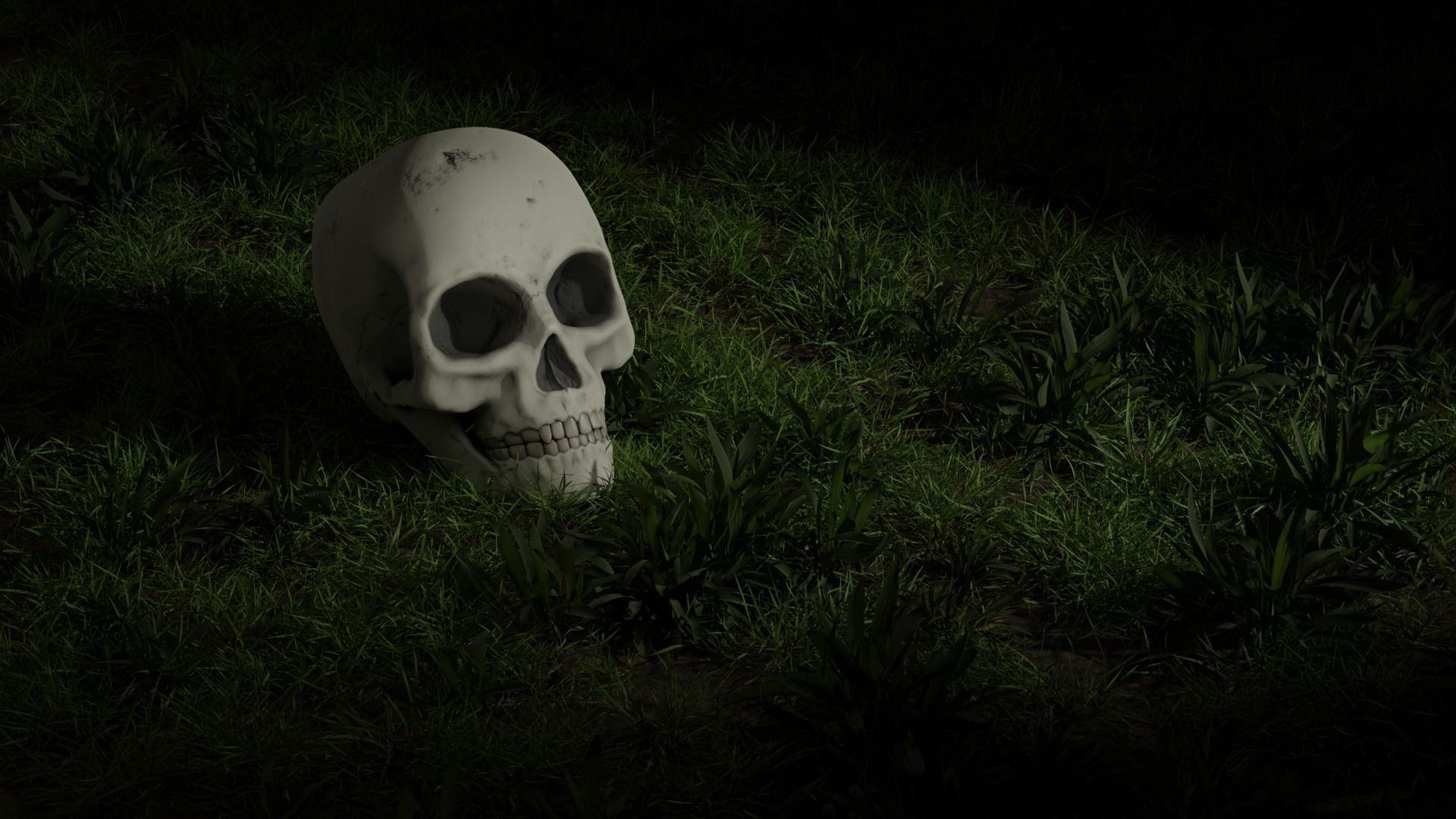 anatomically correct human skull  PBR low-poly game ready Low-poly 3D model_3