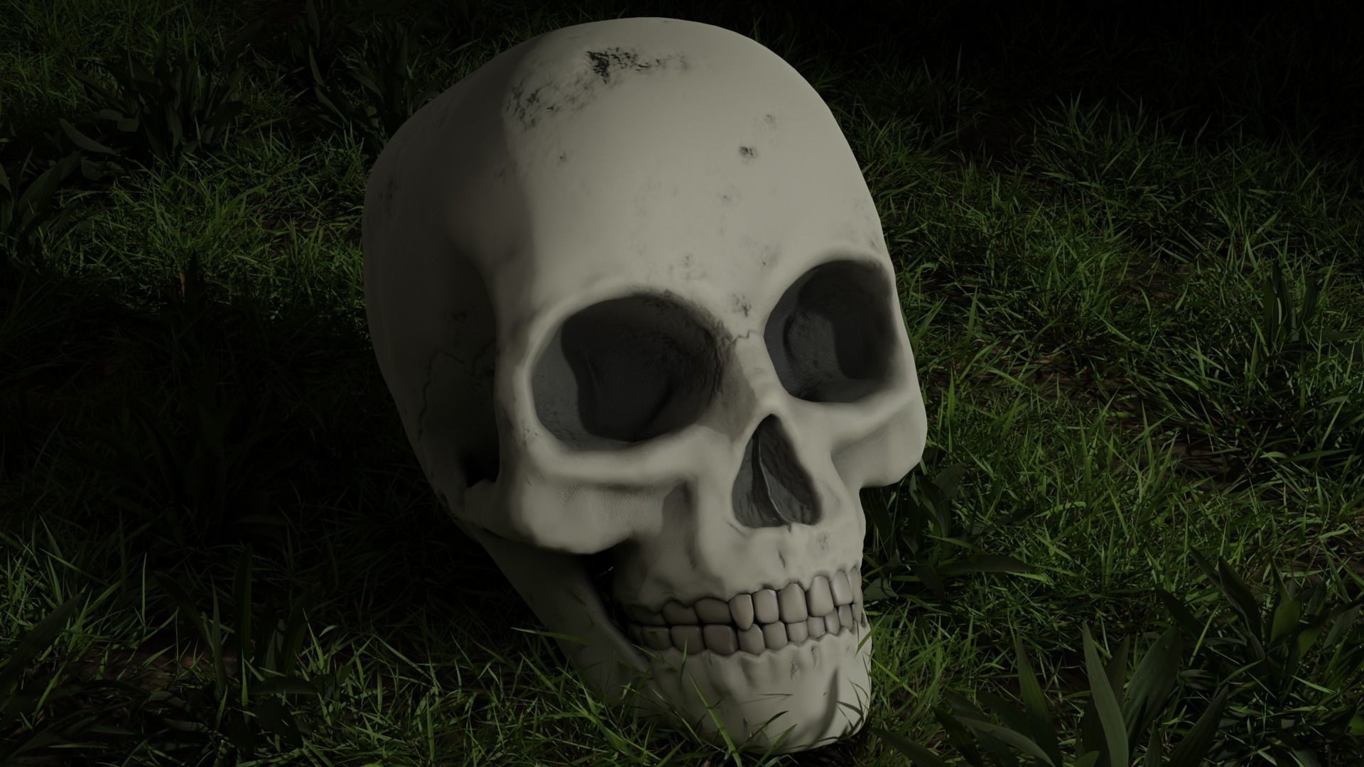 anatomically correct human skull  PBR low-poly game ready Low-poly 3D model_4