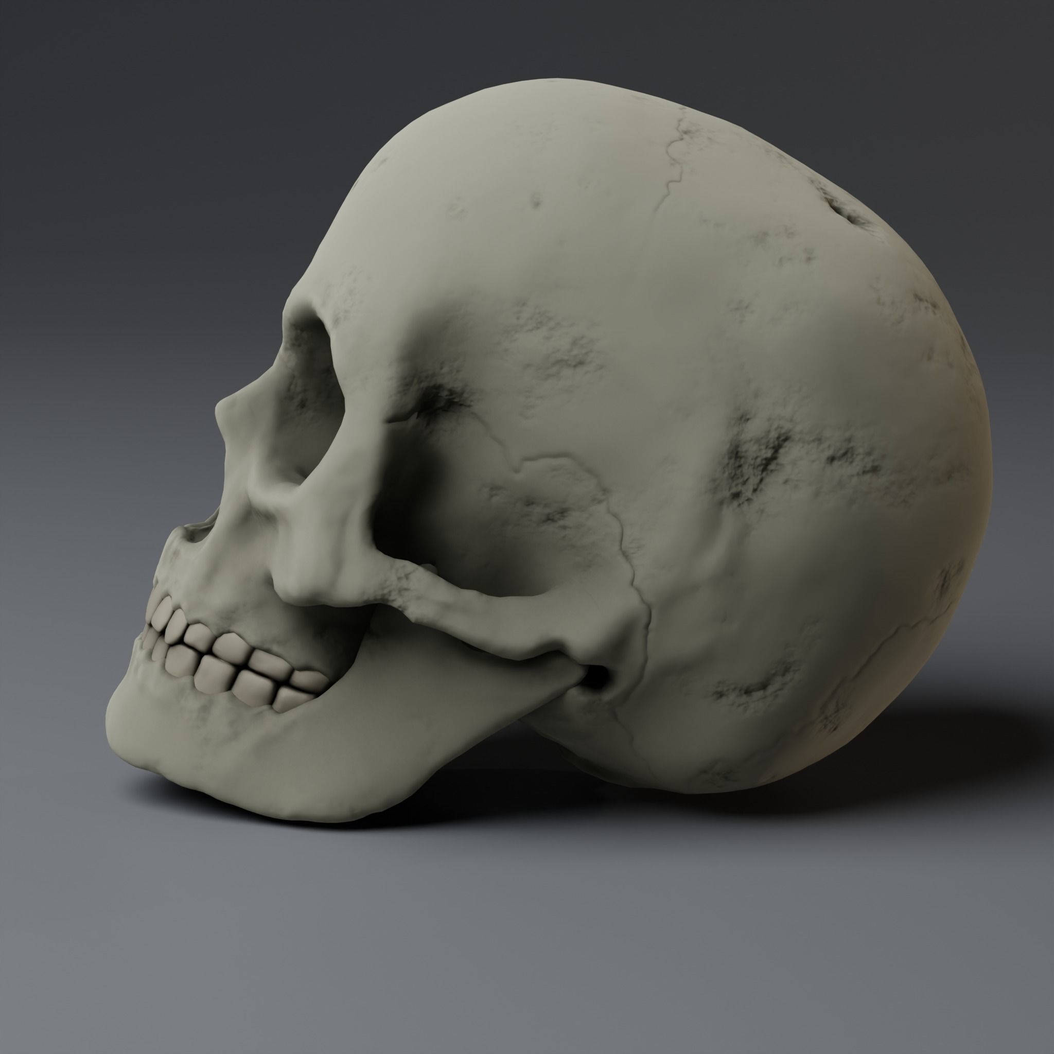 anatomically correct human skull  PBR low-poly game ready Low-poly 3D model_1