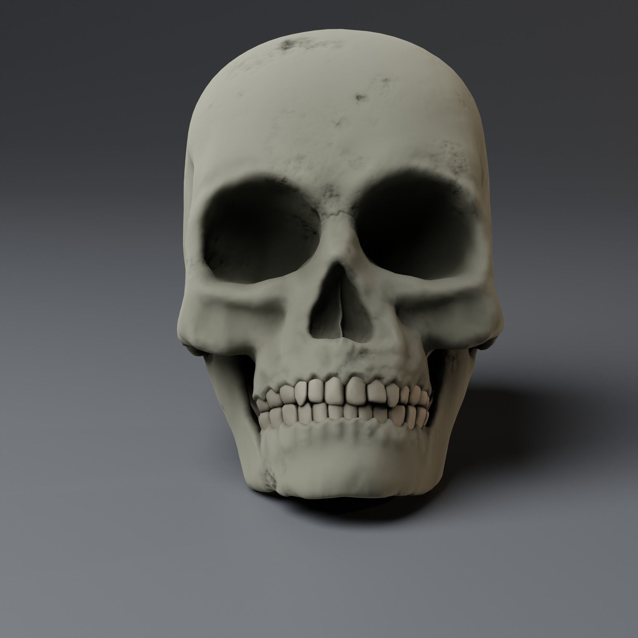 anatomically correct human skull  PBR low-poly game ready Low-poly 3D model_2