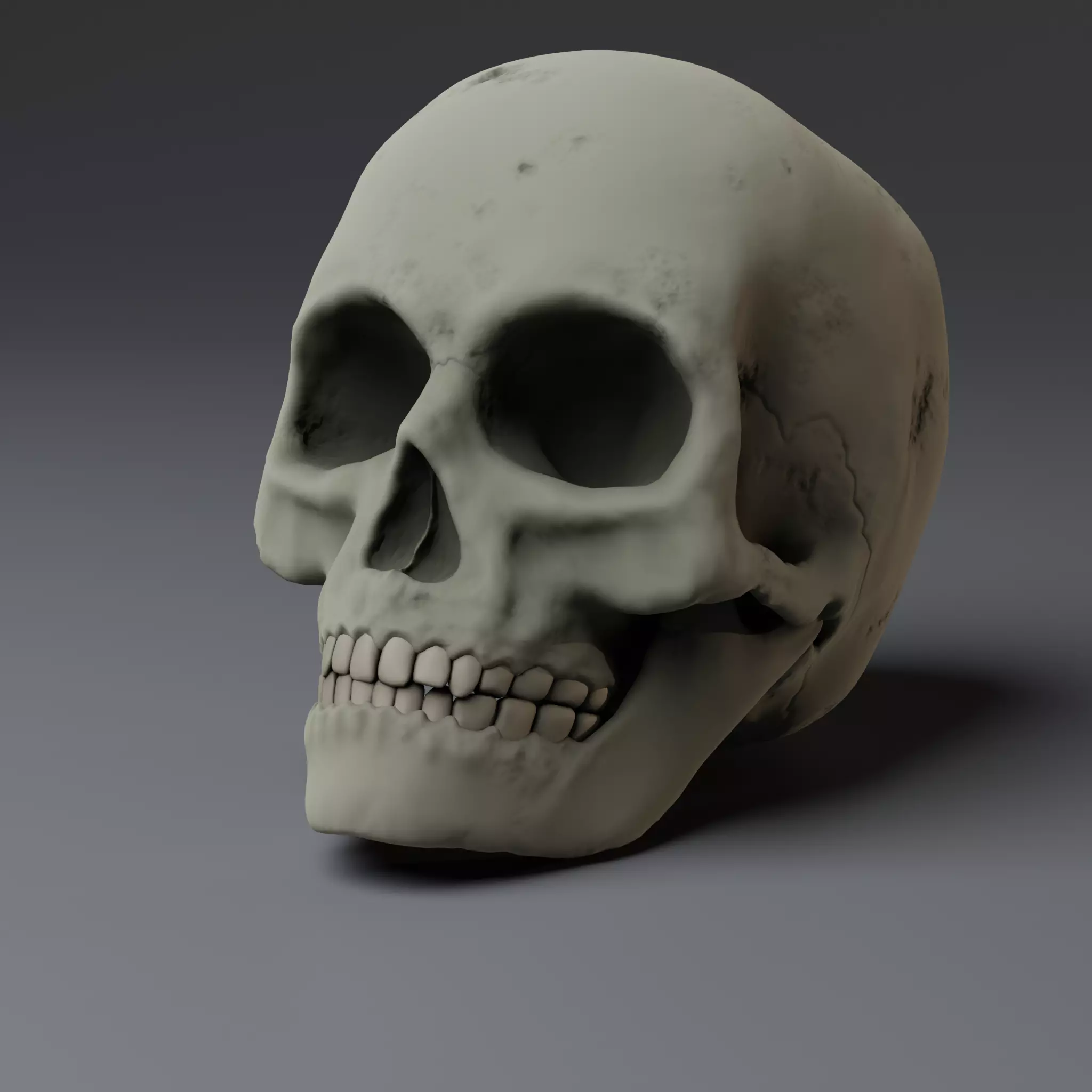 anatomically correct human skull  PBR low-poly game ready Low-poly 3D model_0