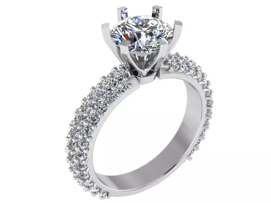 Textured Bridge Ring 1920  3D print model  3D print model_0