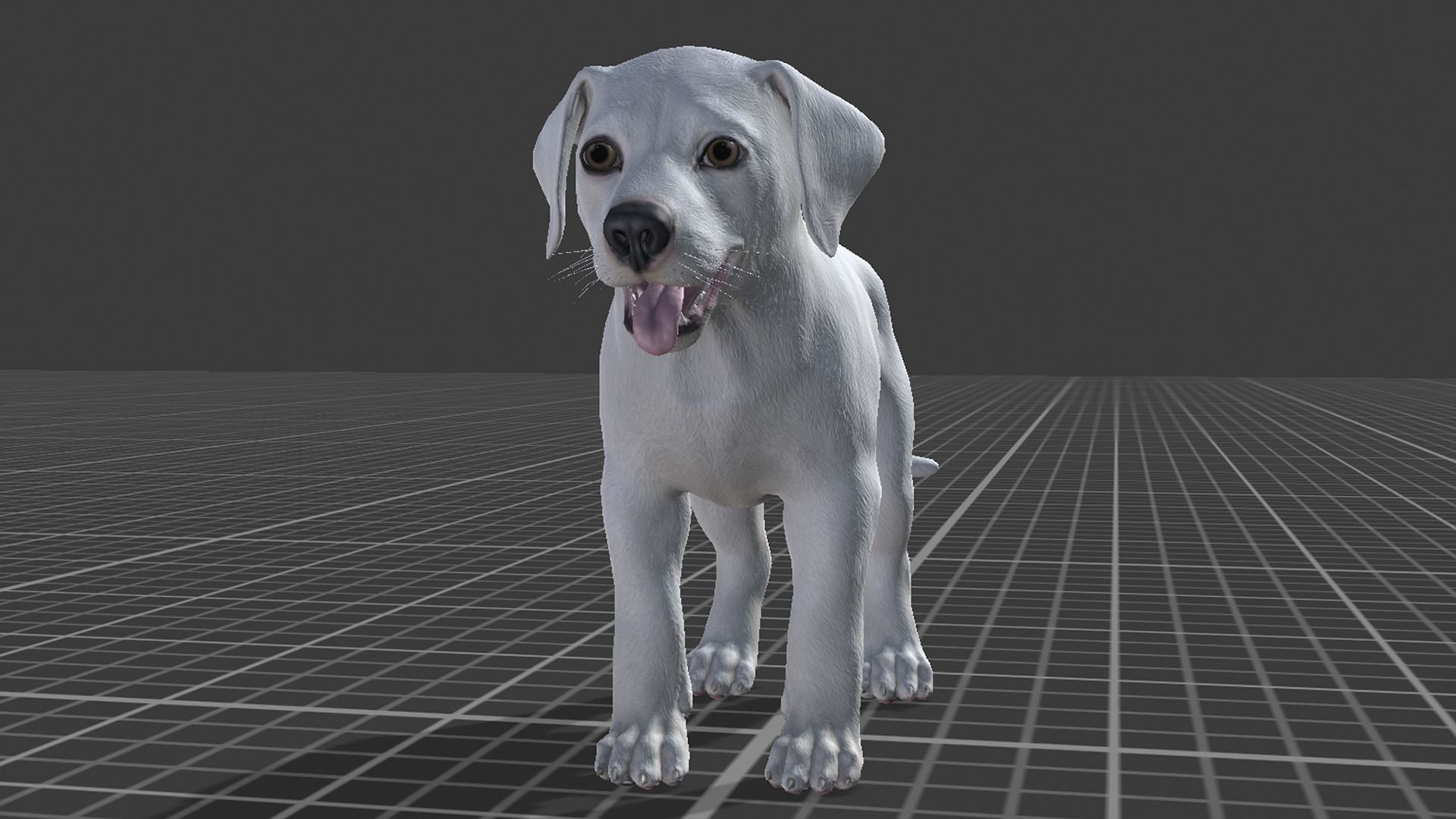 Puppy - Dalmatian Low-poly 3D model_19