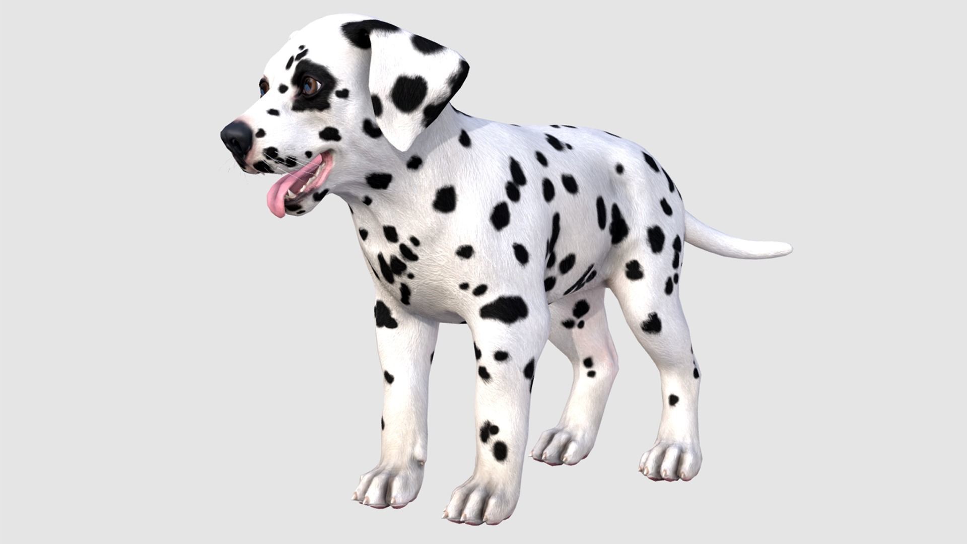Puppy - Dalmatian Low-poly 3D model_1