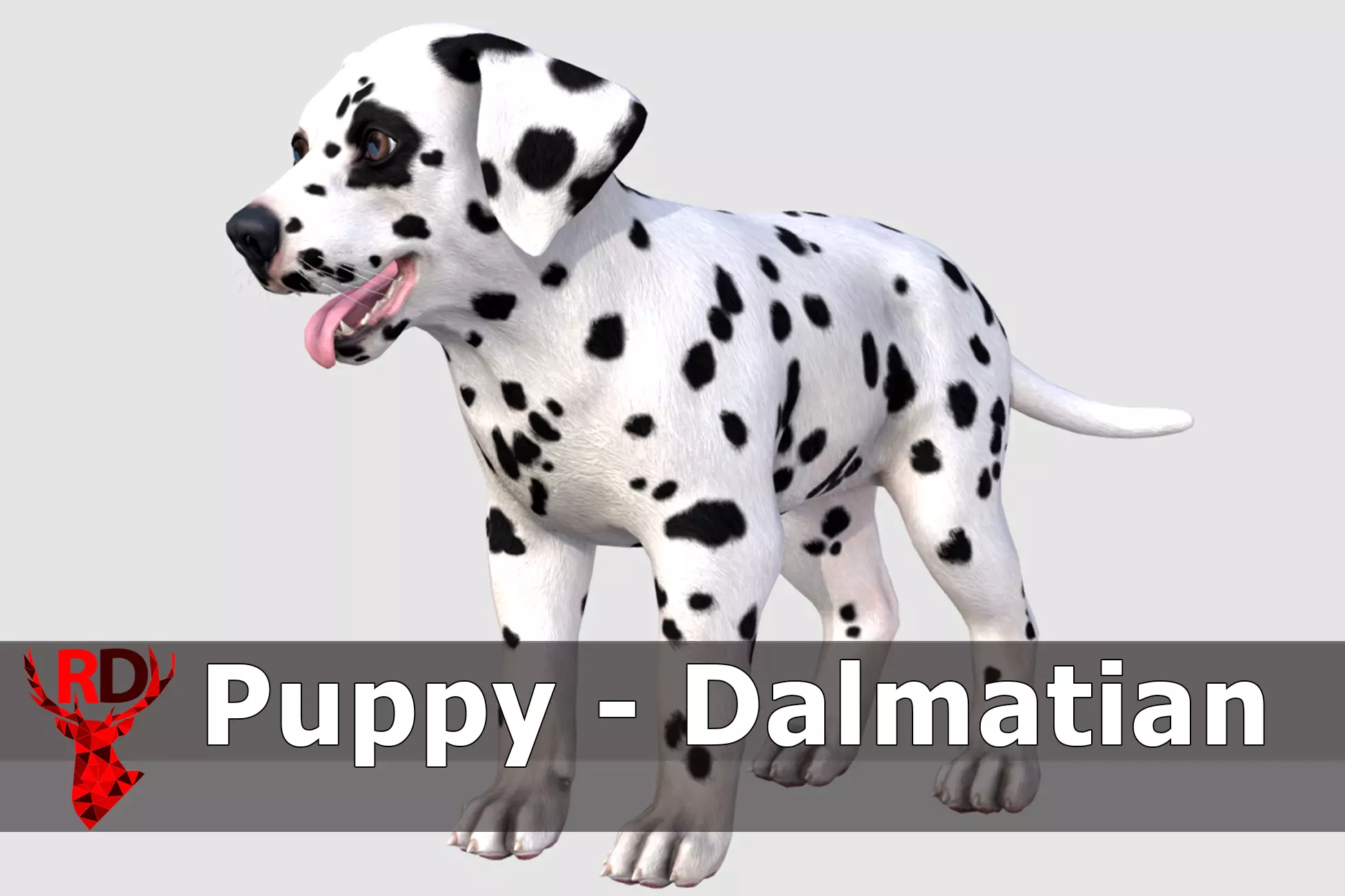 Puppy - Dalmatian Low-poly 3D model_0