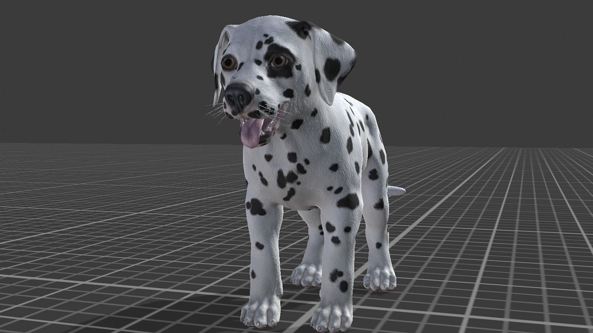 Puppy - Dalmatian Low-poly 3D model_15