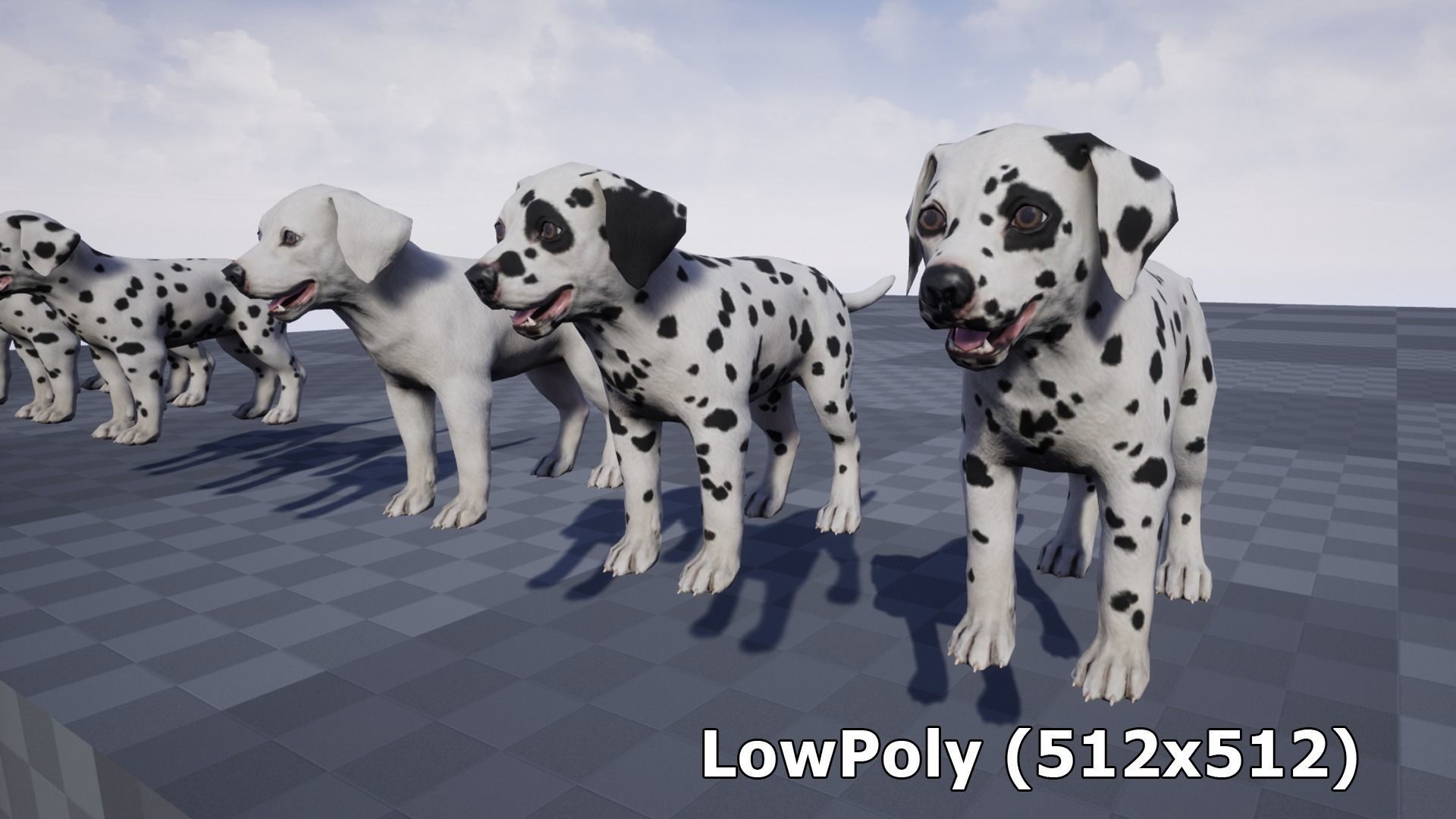 Puppy - Dalmatian Low-poly 3D model_13