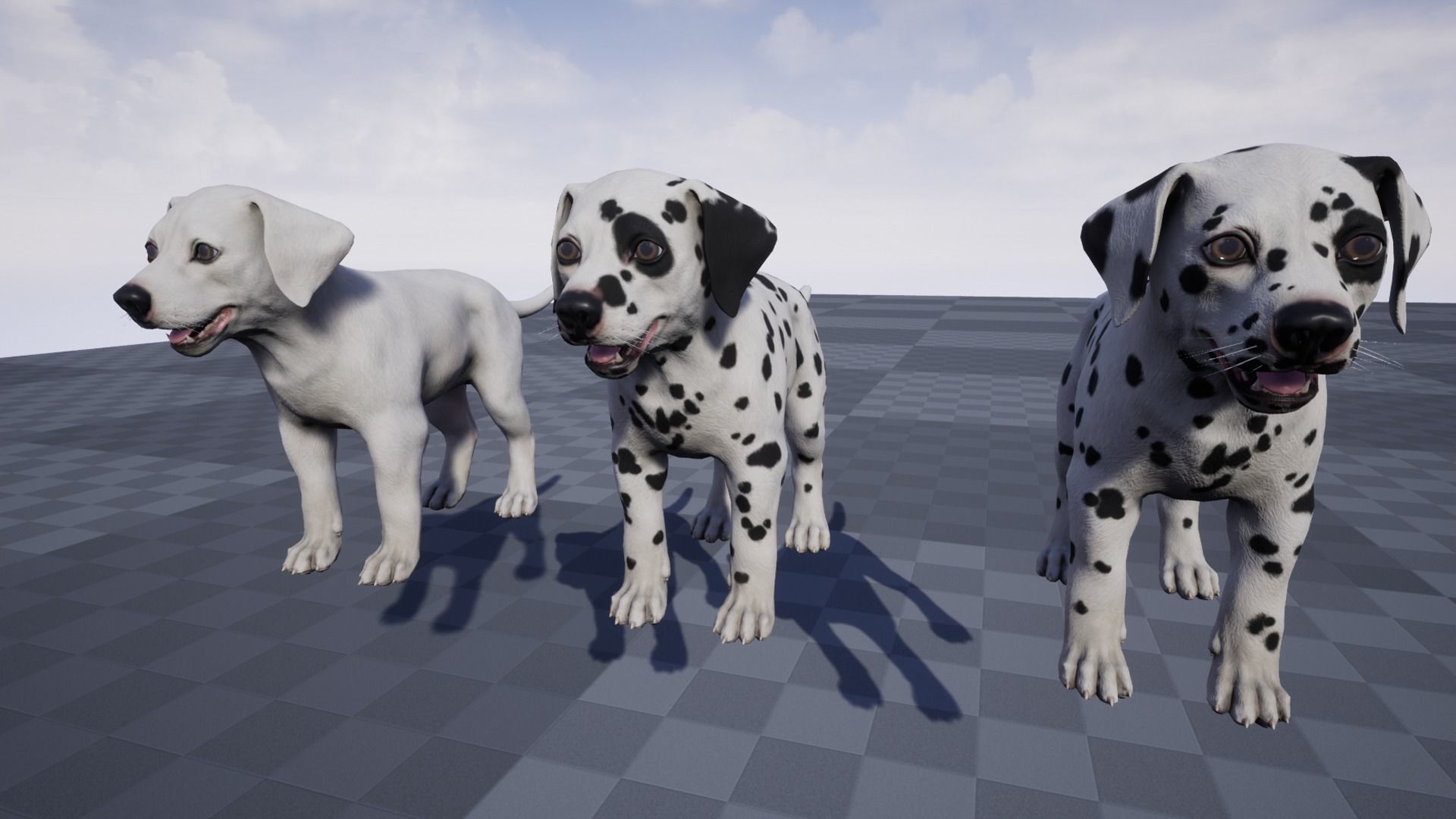 Puppy - Dalmatian Low-poly 3D model_11
