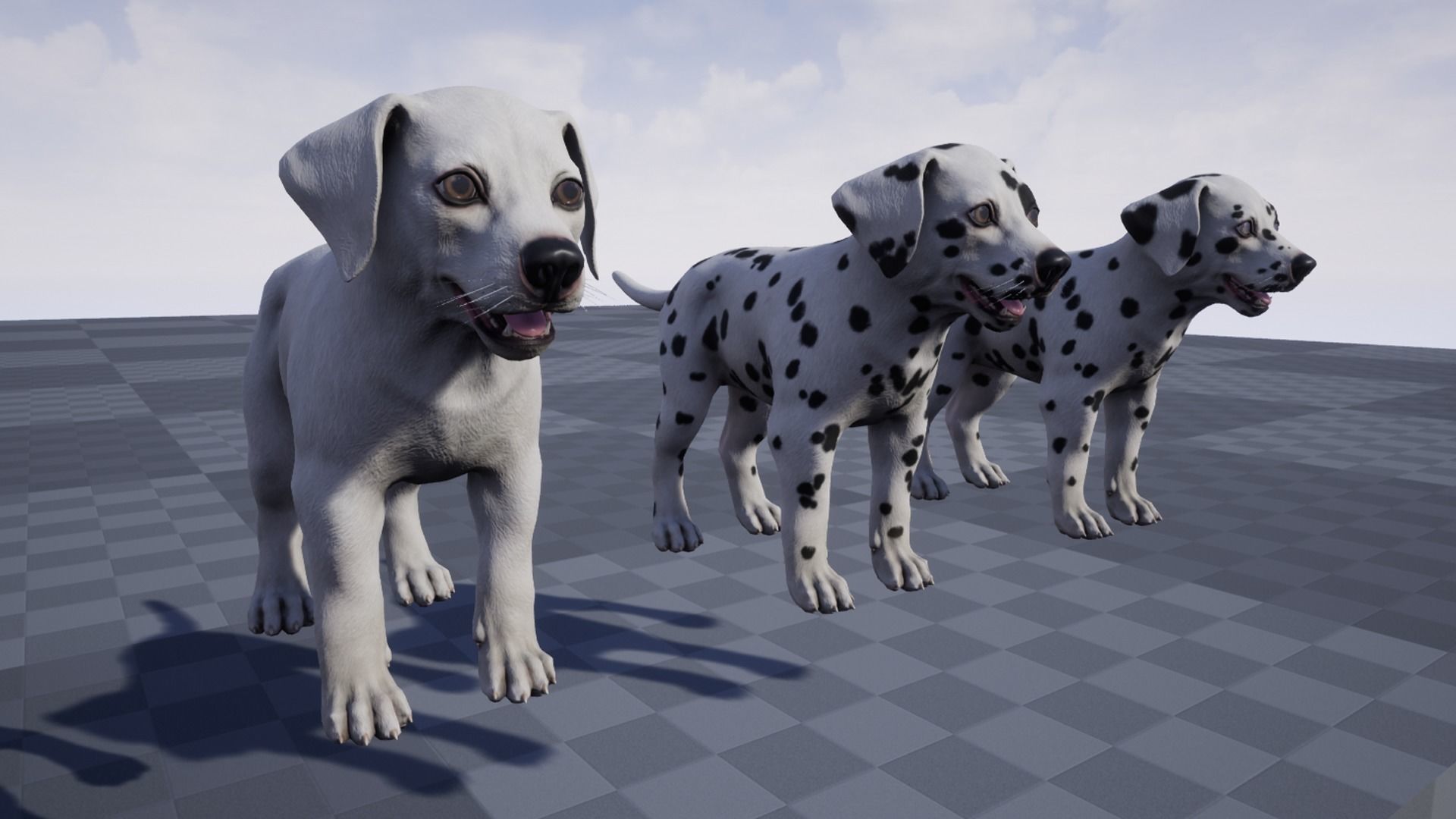 Puppy - Dalmatian Low-poly 3D model_12