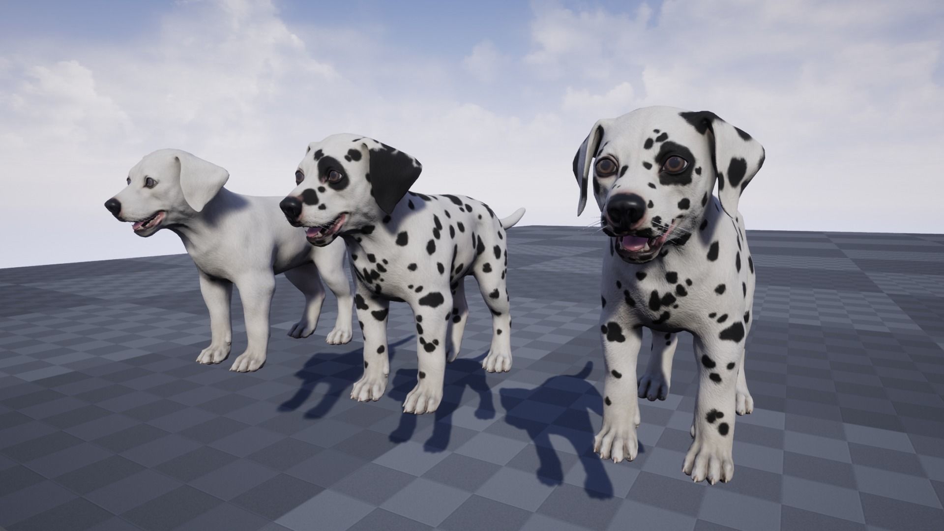Puppy - Dalmatian Low-poly 3D model_7