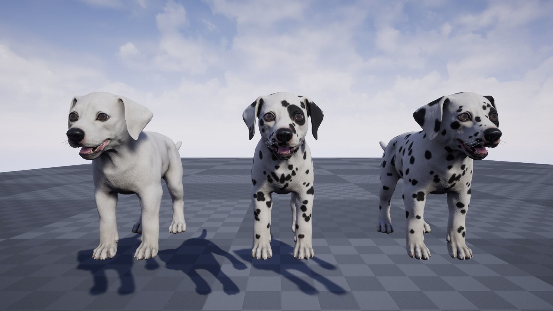 Puppy - Dalmatian Low-poly 3D model_8