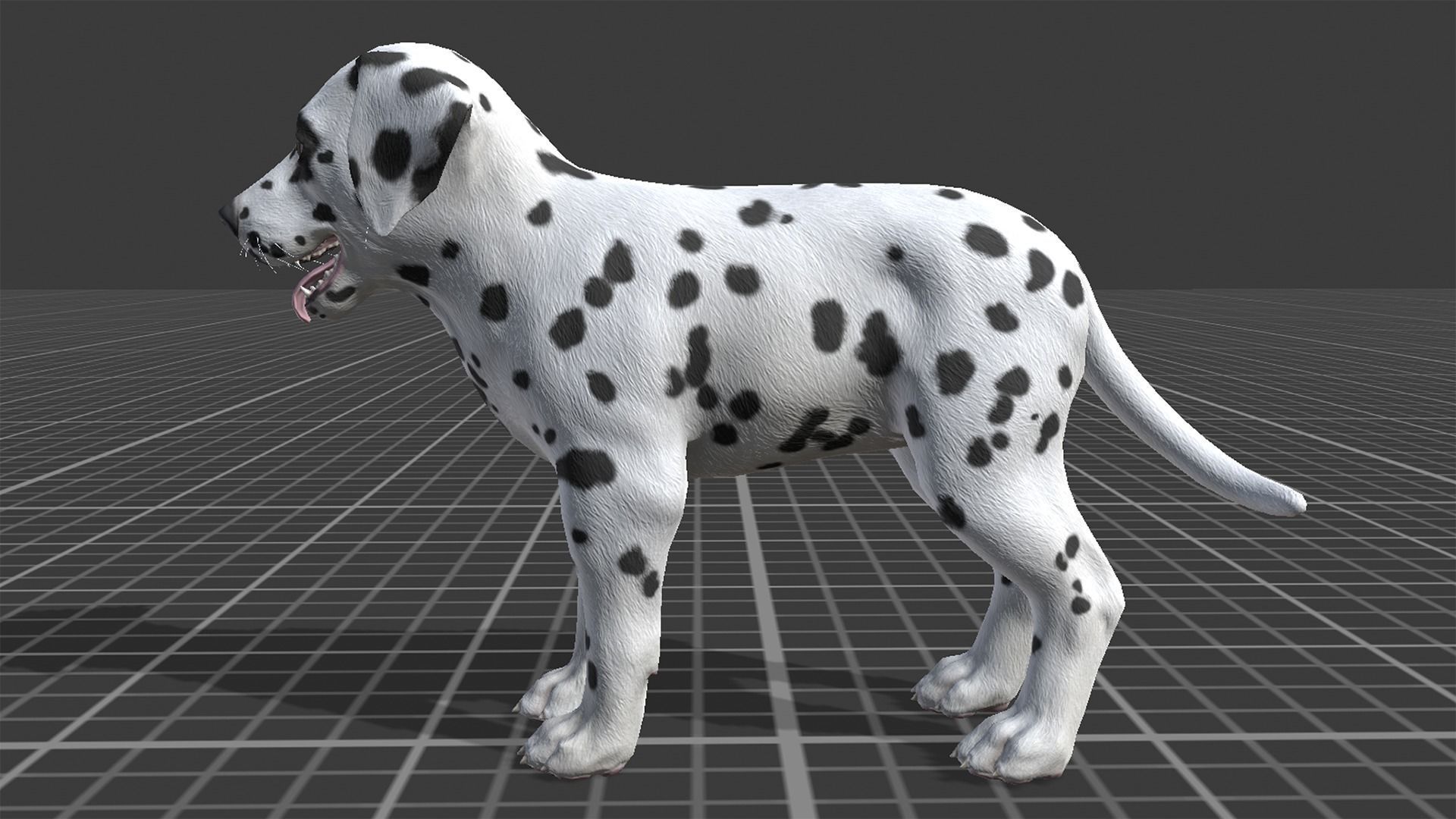 Puppy - Dalmatian Low-poly 3D model_14