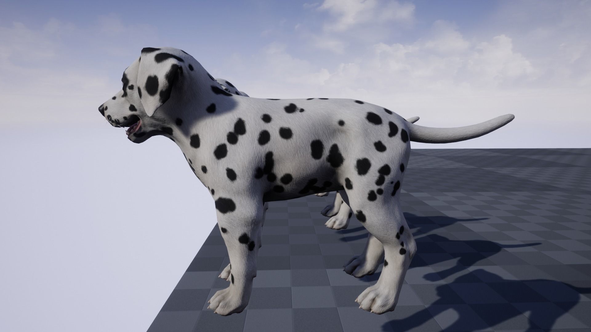 Puppy - Dalmatian Low-poly 3D model_9