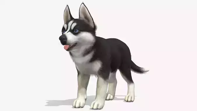 Puppy - Husky Low-poly 3D model