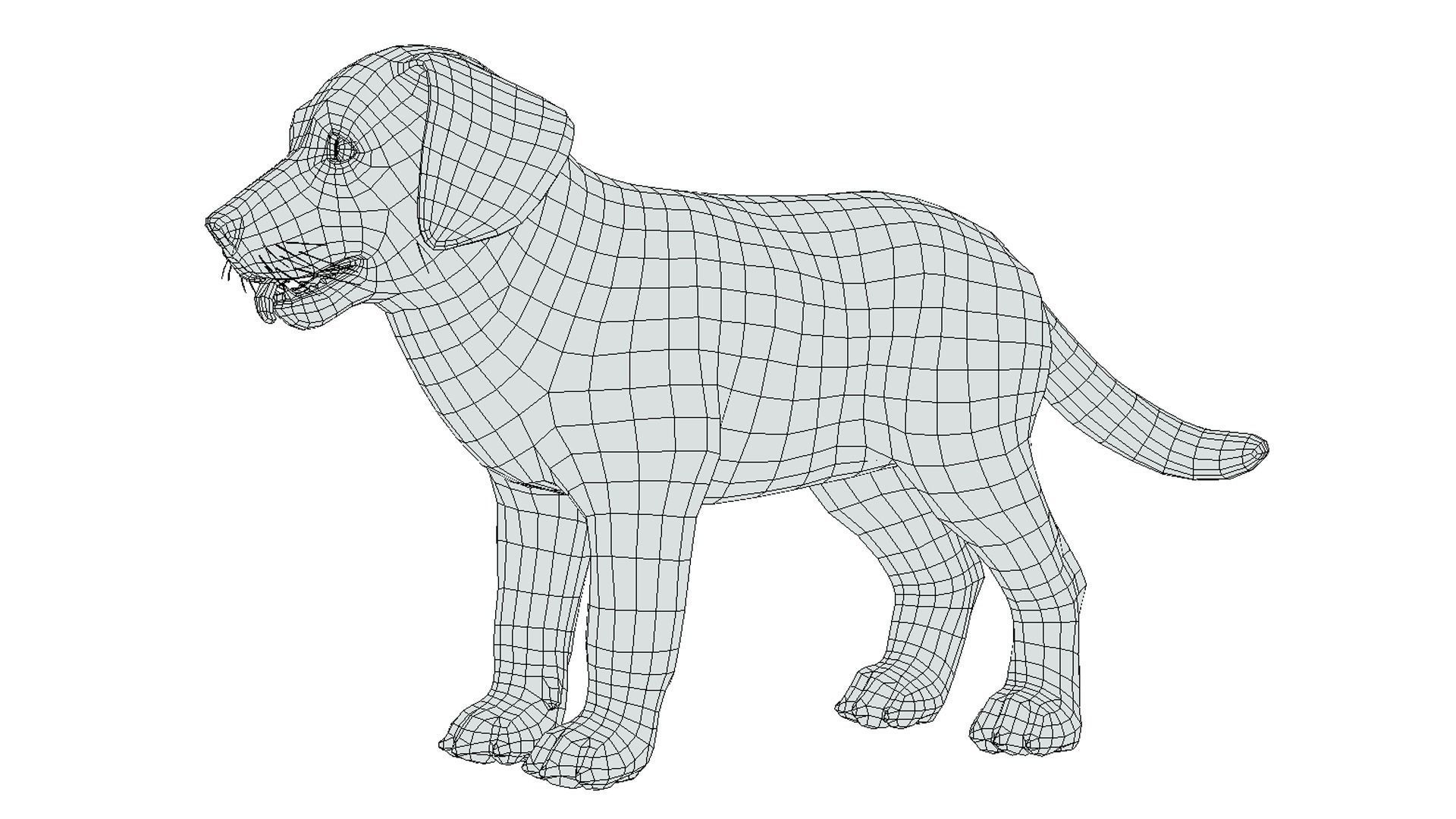 Puppy - Labrador Low-poly 3D model_13