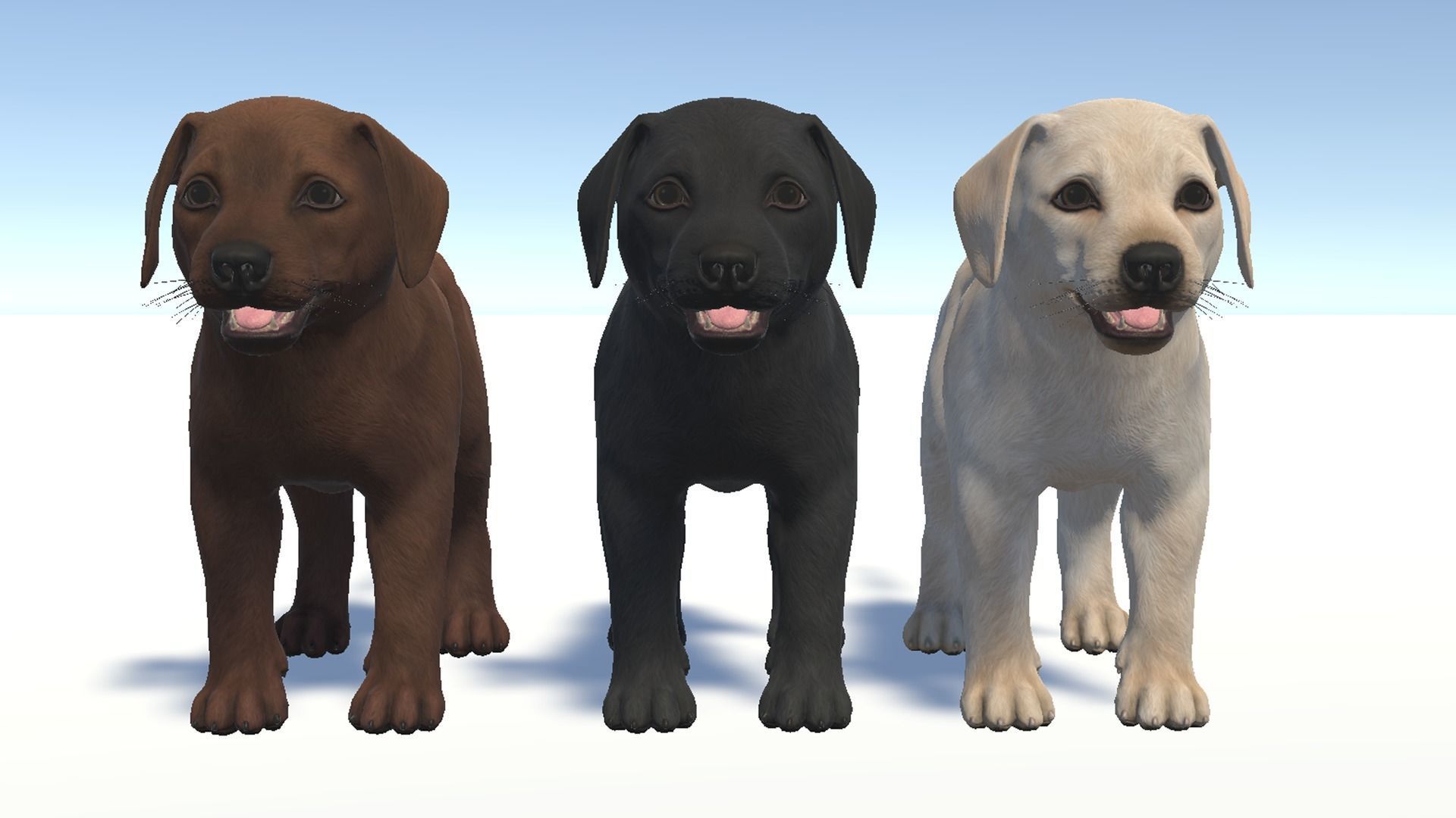 Puppy - Labrador Low-poly 3D model_10