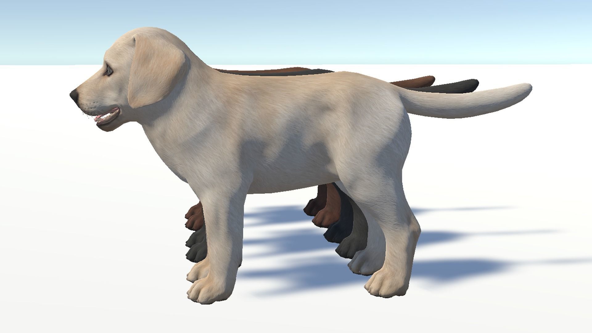 Puppy - Labrador Low-poly 3D model_11