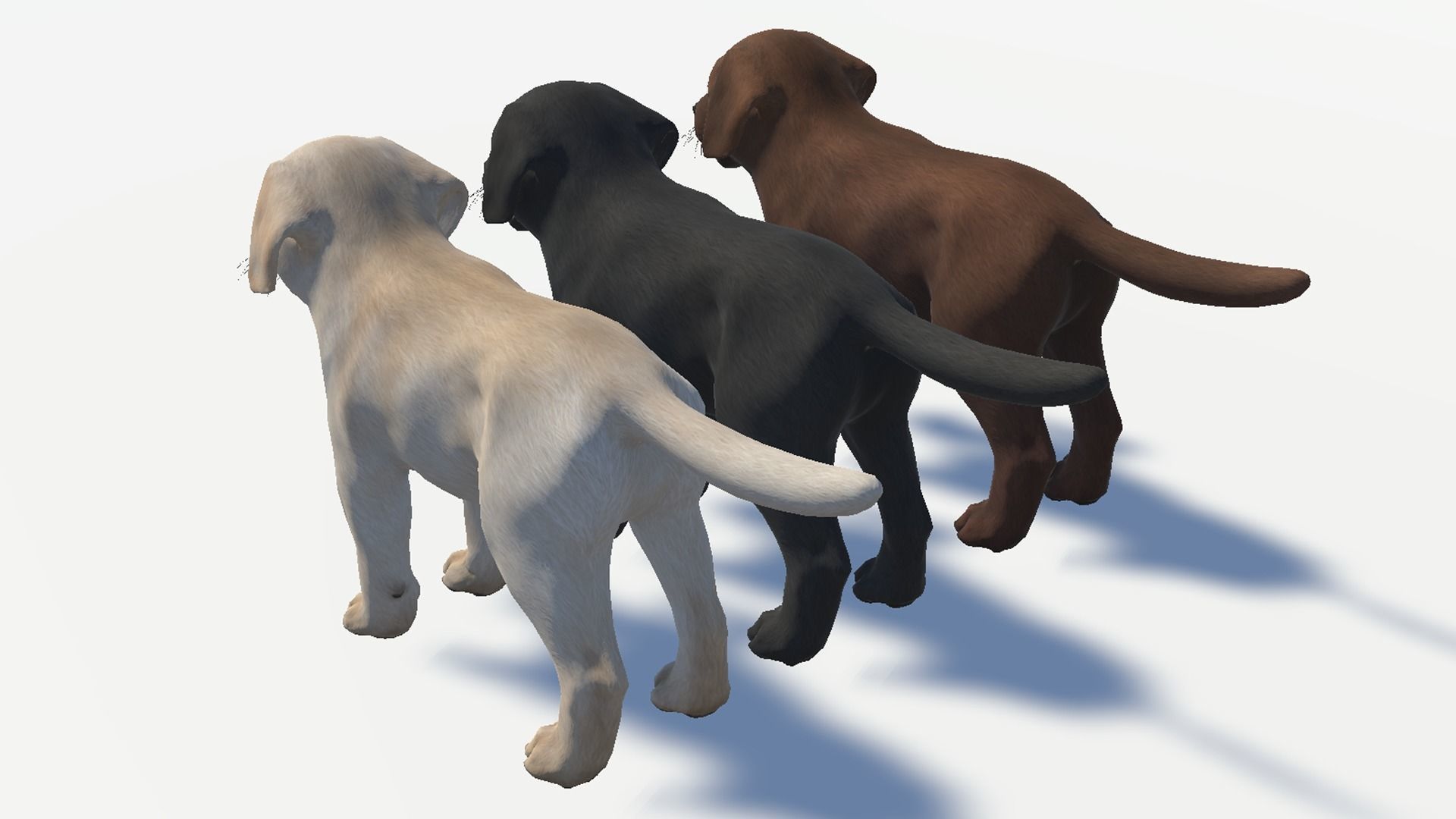 Puppy - Labrador Low-poly 3D model_12
