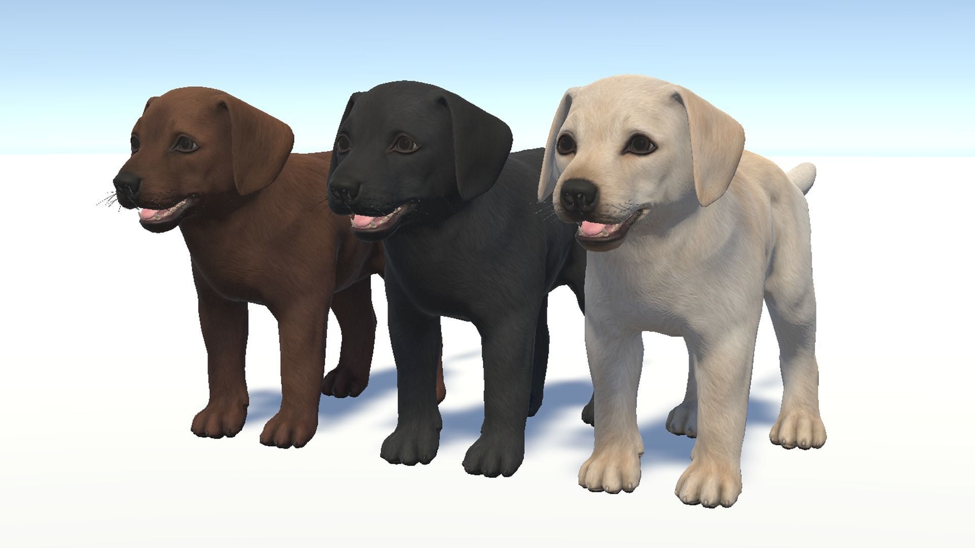 Puppy - Labrador Low-poly 3D model_8