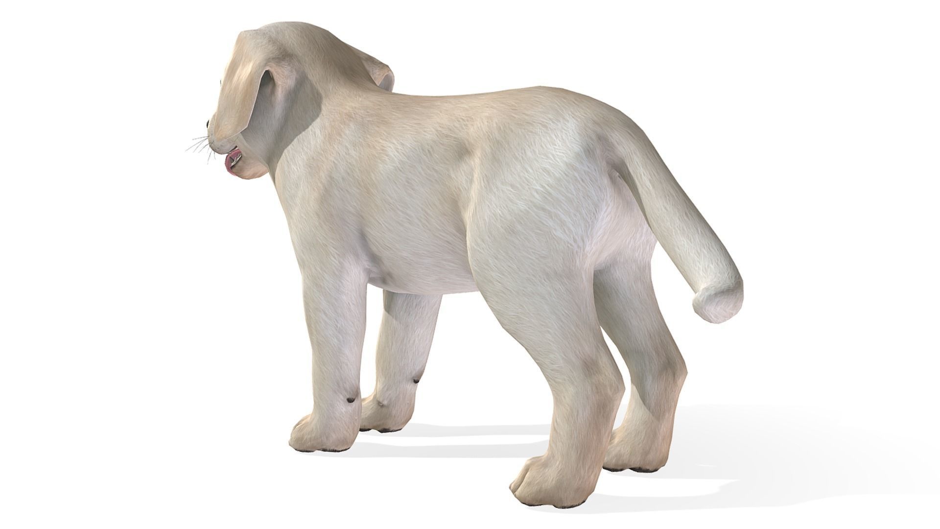 Puppy - Labrador Low-poly 3D model_7