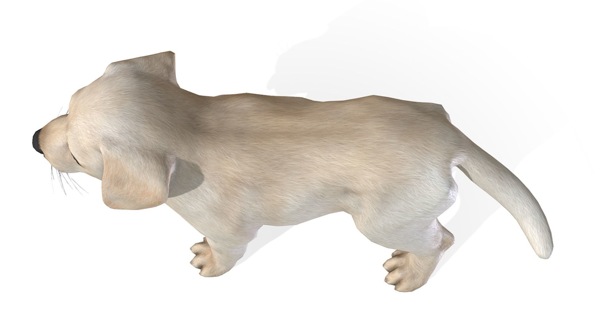 Puppy - Labrador Low-poly 3D model_5