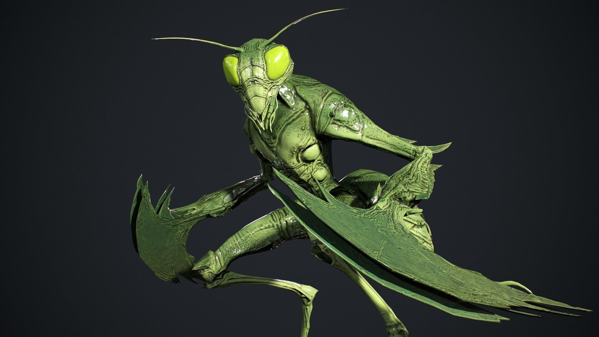 Insect Creature 2 Low-poly 3D model_13