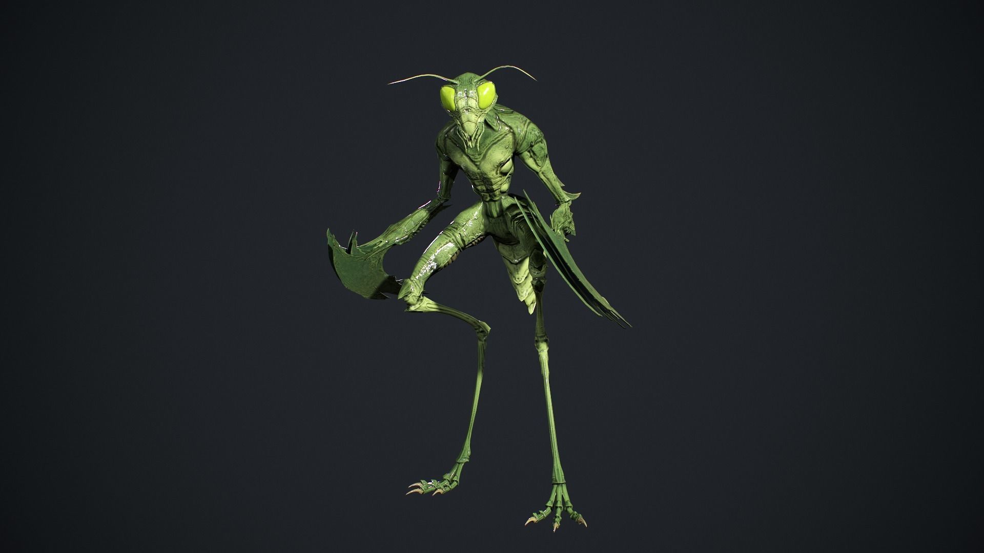 Insect Creature 2 Low-poly 3D model_8
