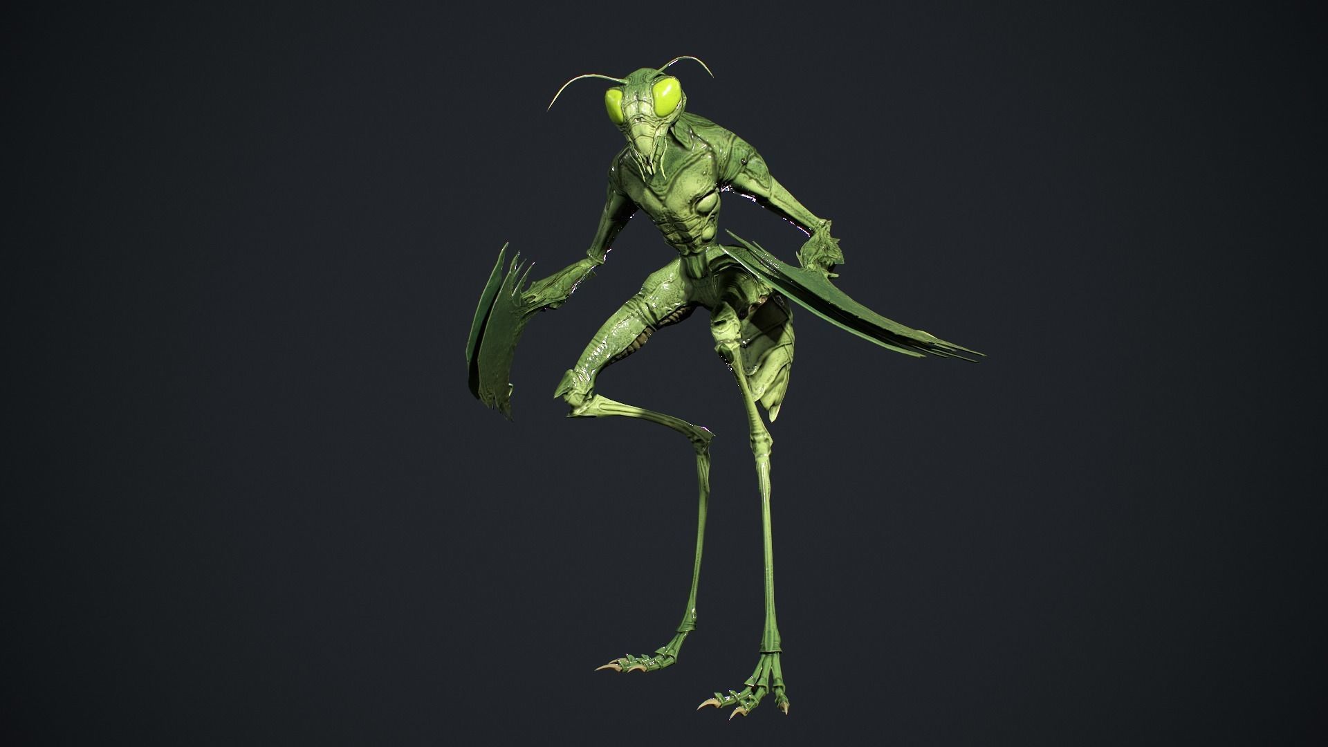 Insect Creature 2 Low-poly 3D model_7