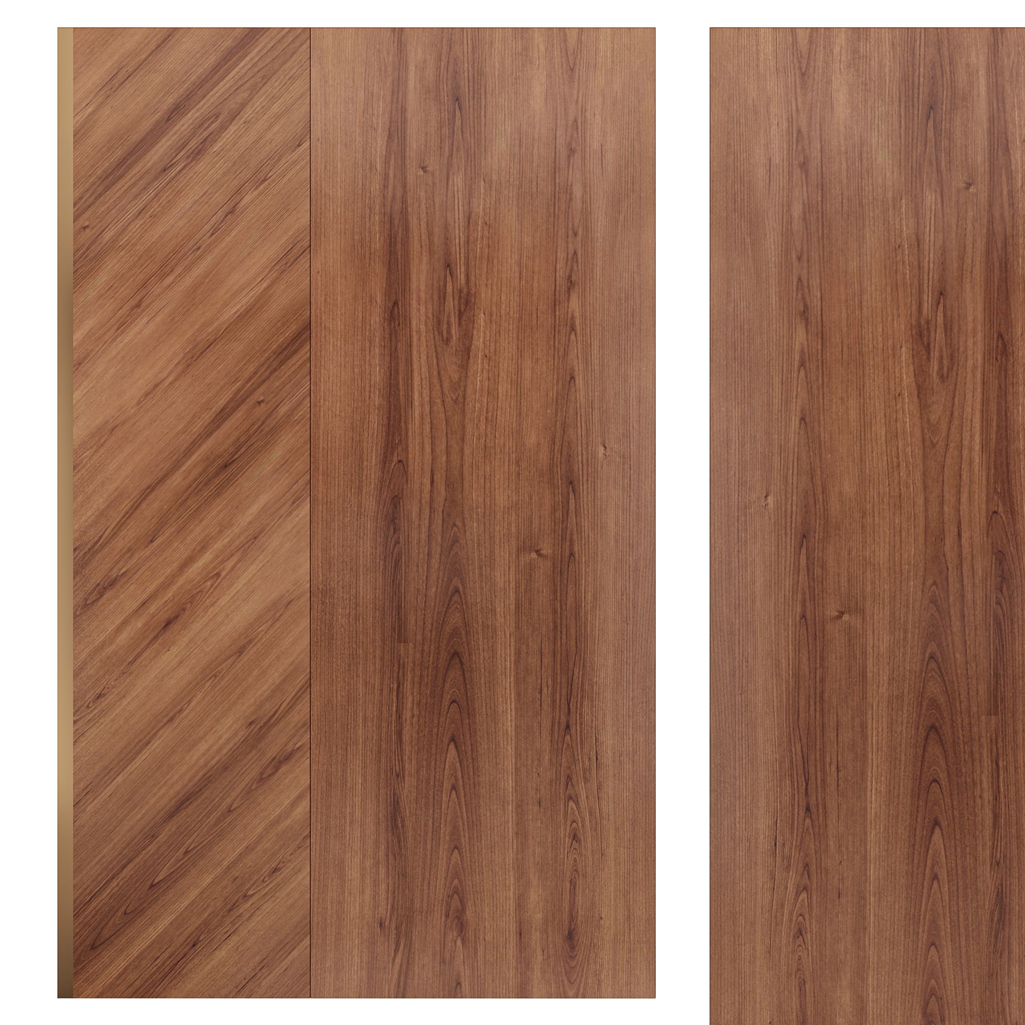 Delight by Store 54 3D model_1