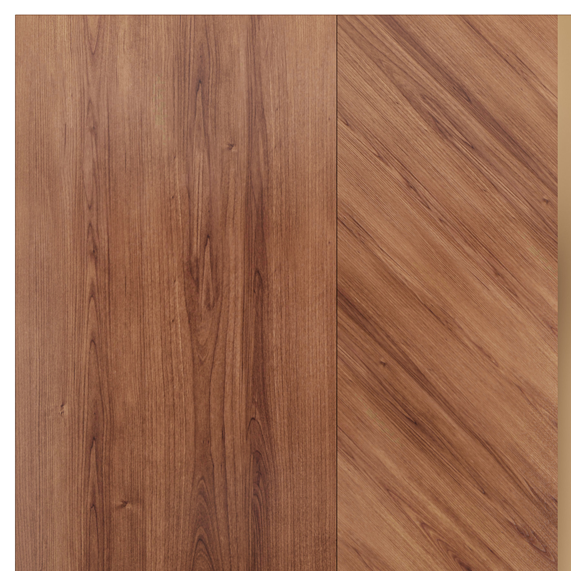 Delight by Store 54 3D model_2