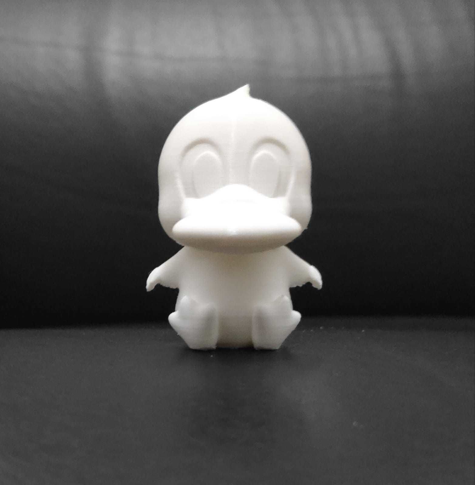 Flexi Platypus 3D print model_11