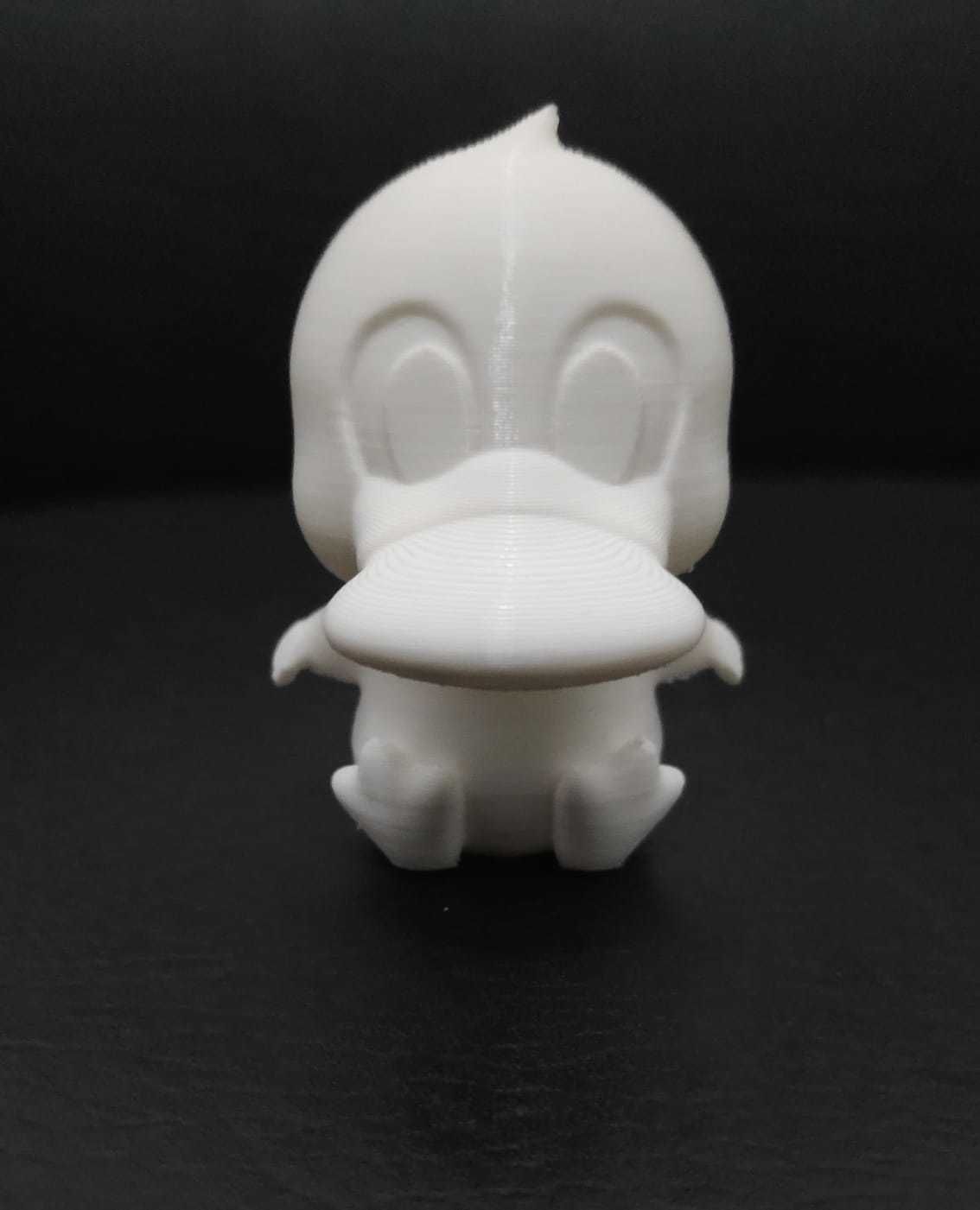 Flexi Platypus 3D print model_6