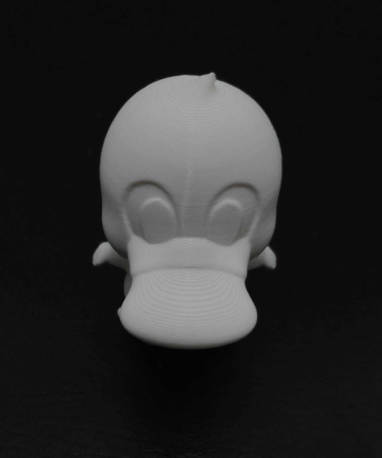 Flexi Platypus 3D print model_13