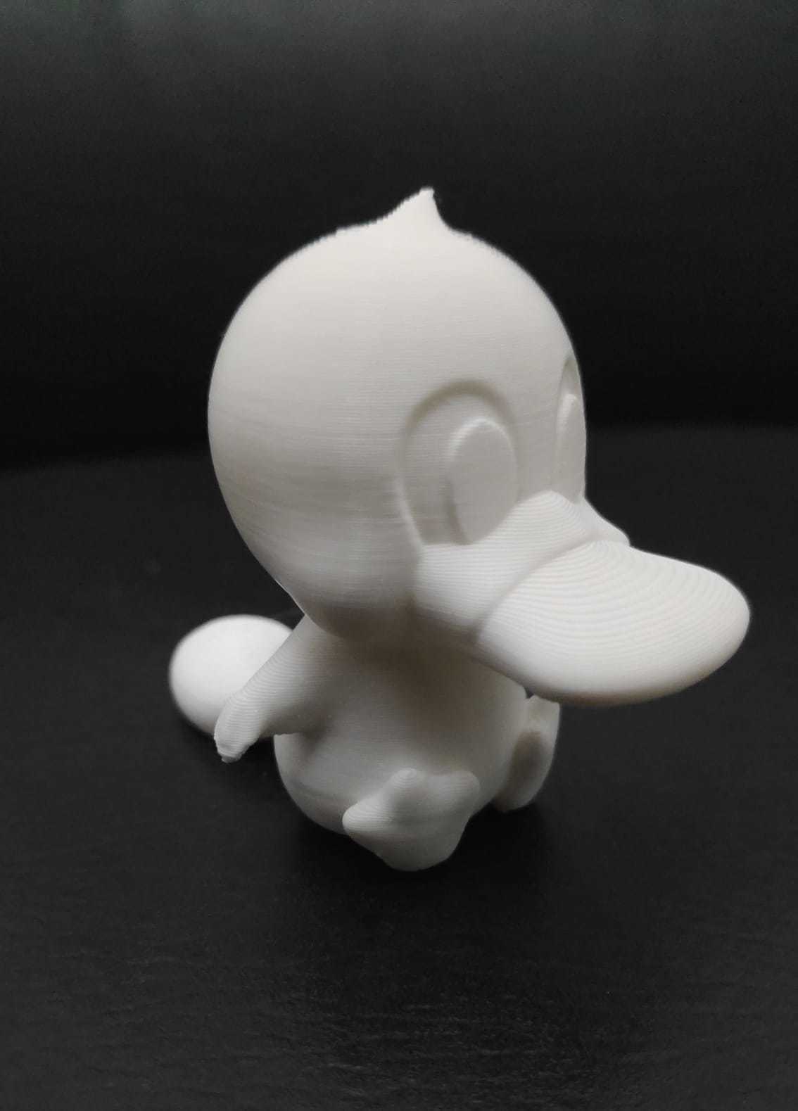 Flexi Platypus 3D print model_10