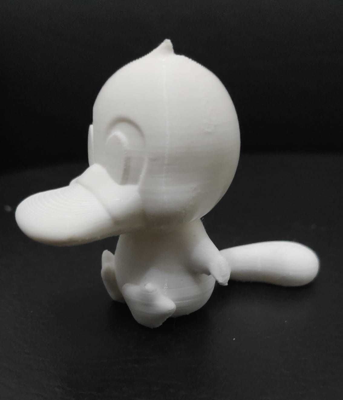 Flexi Platypus 3D print model_12