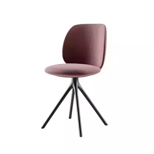 universal collection chair by MDF ITALIA