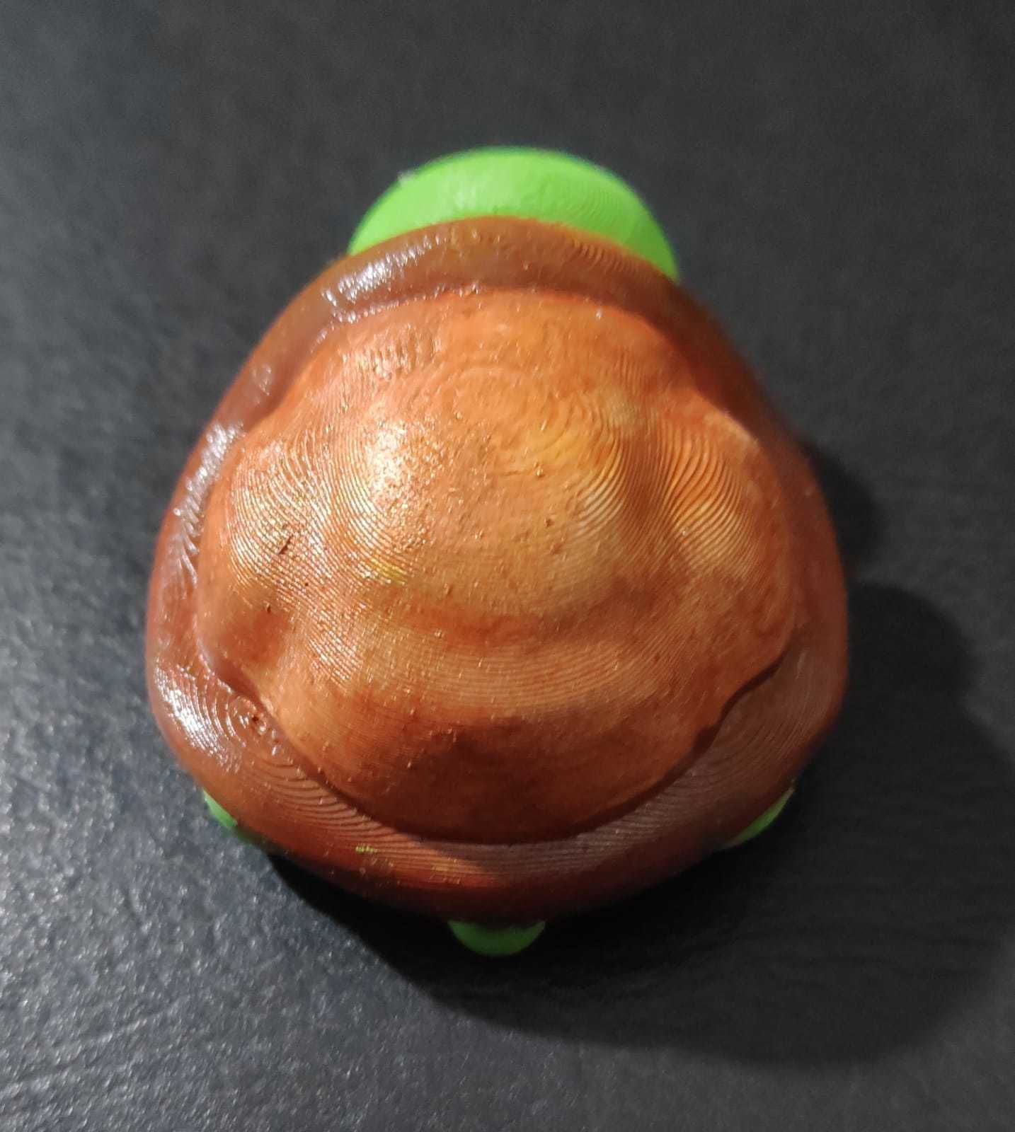 Flexi Turtle 3D print model_6