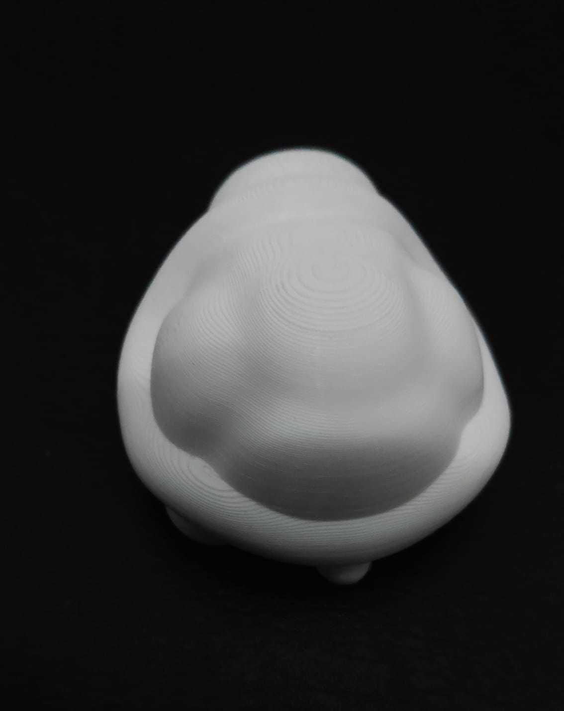 Flexi Turtle 3D print model_16