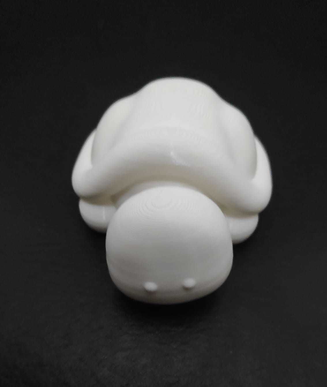 Flexi Turtle 3D print model_14