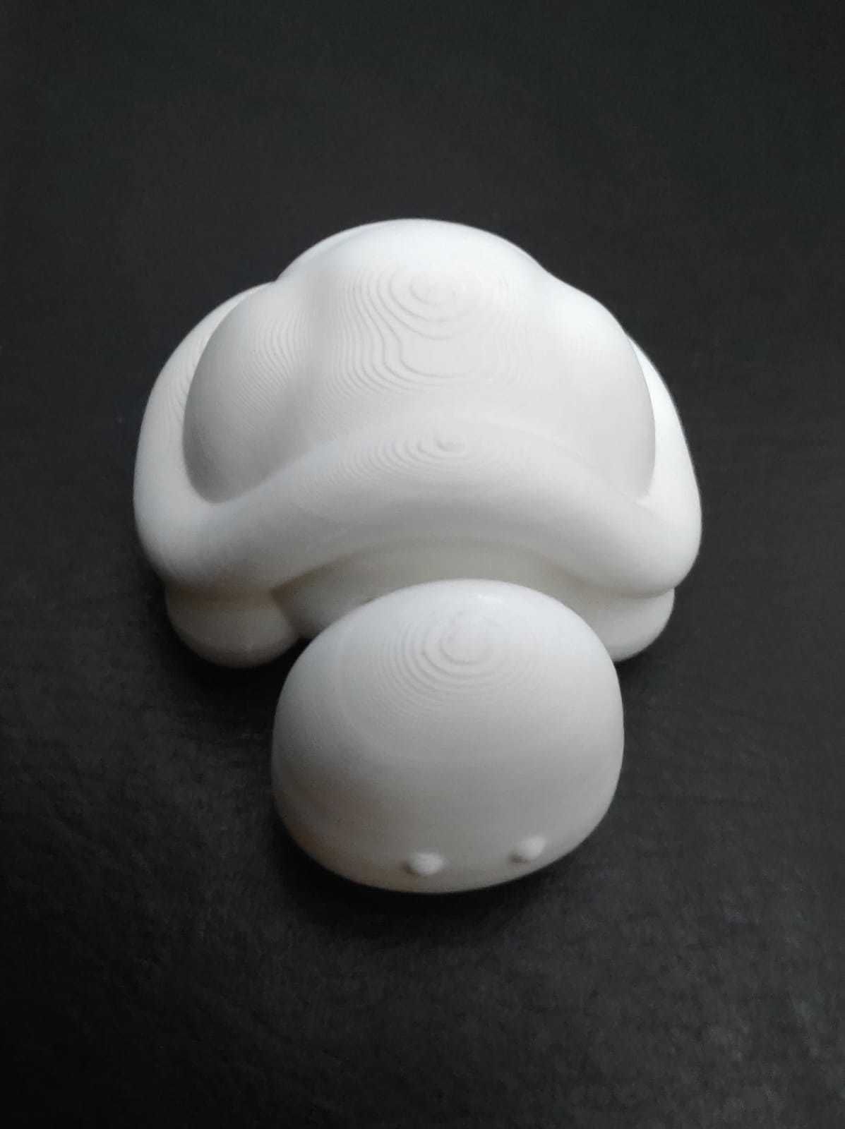Flexi Turtle 3D print model_15