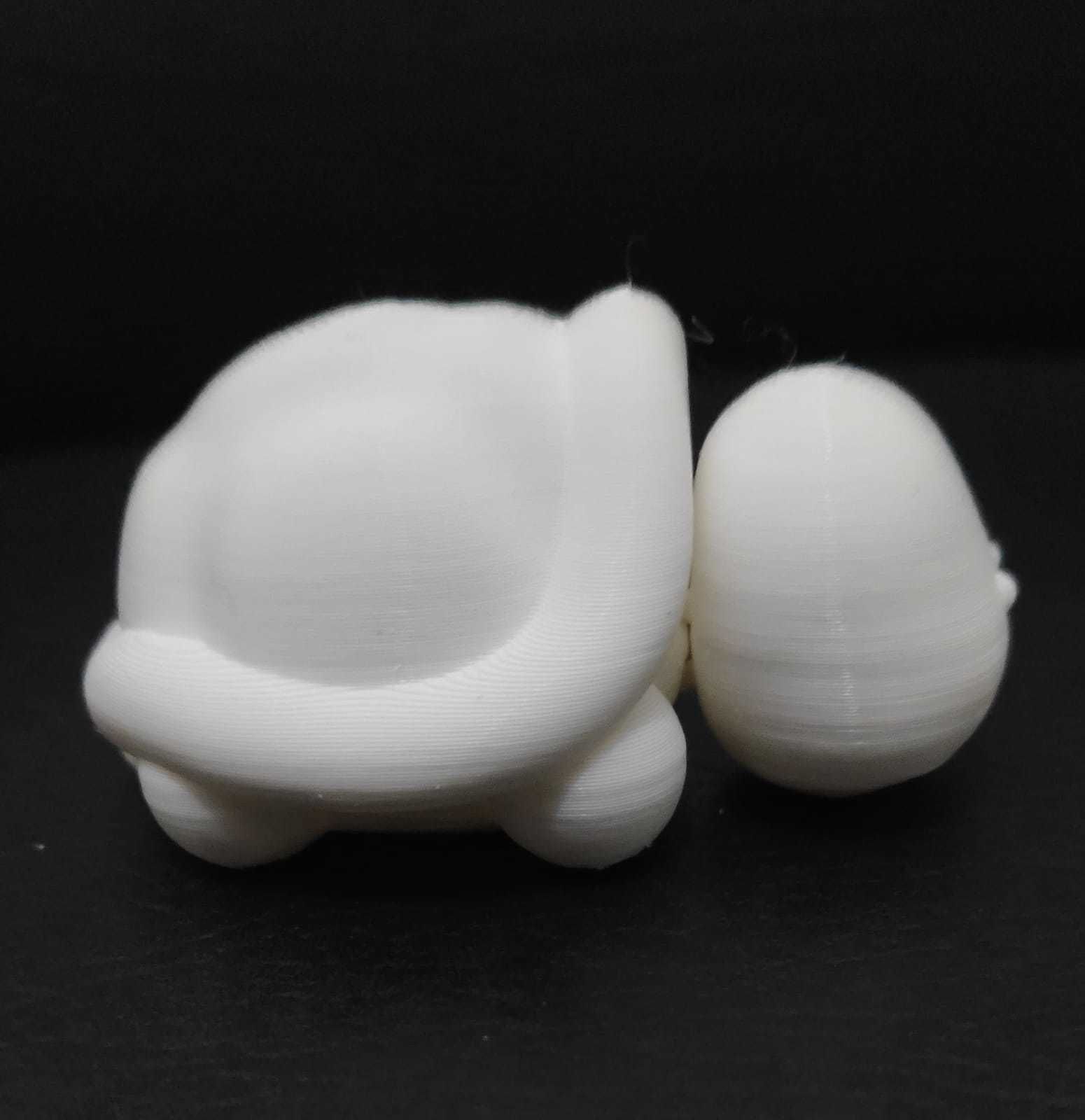 Flexi Turtle 3D print model_10