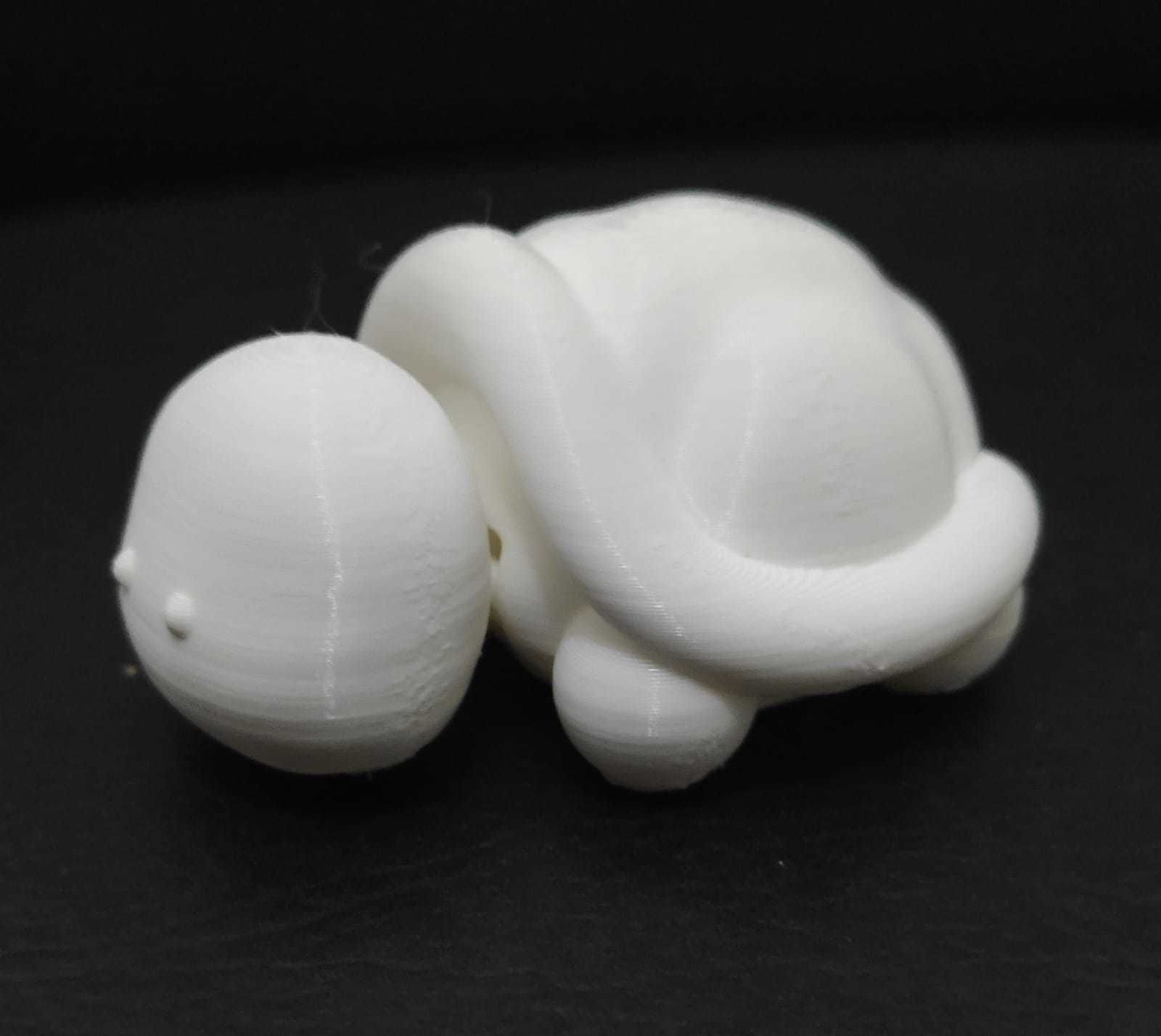 Flexi Turtle 3D print model_8