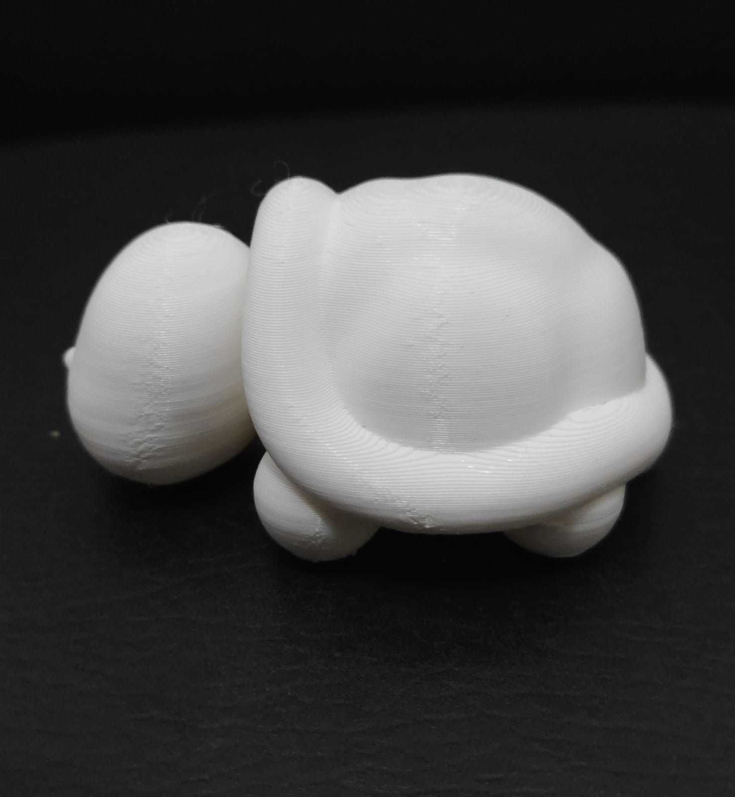 Flexi Turtle 3D print model_13