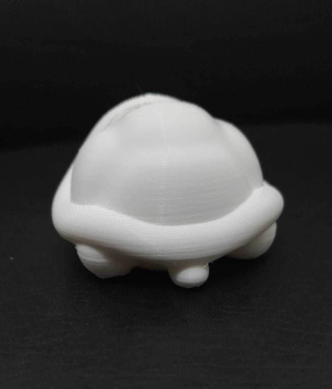 Flexi Turtle 3D print model_9
