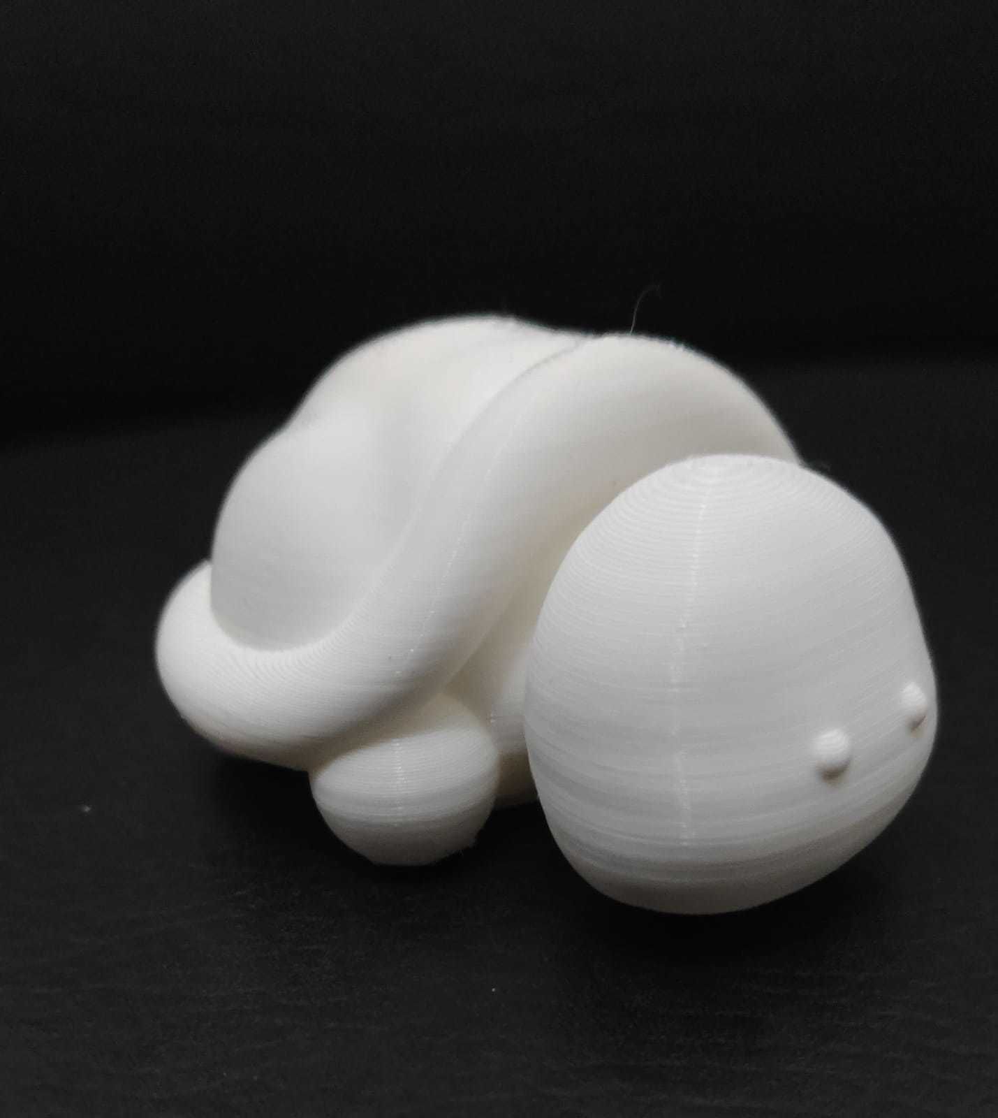 Flexi Turtle 3D print model_11